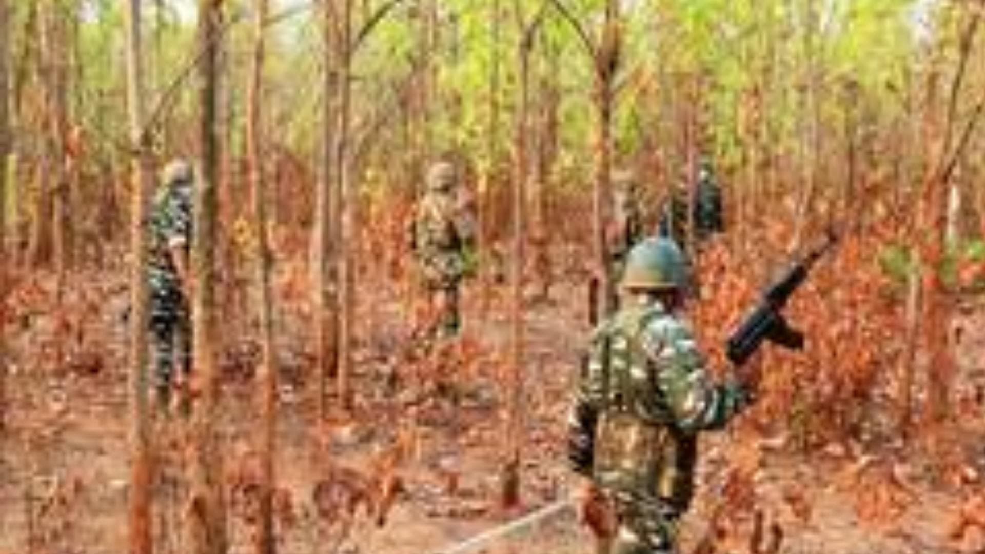 Chhattisgarh: Seven naxalites killed in encounter in Dantewada