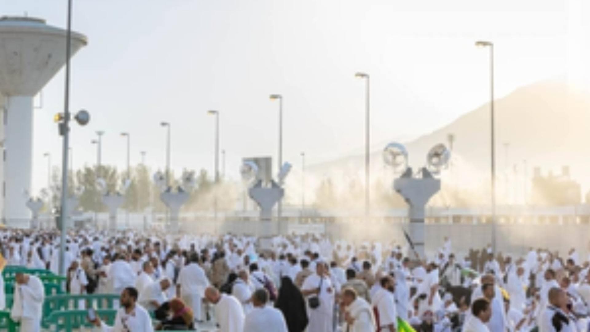 28 registered Egyptian pilgrims confirmed dead during Haj in Saudi Arabia