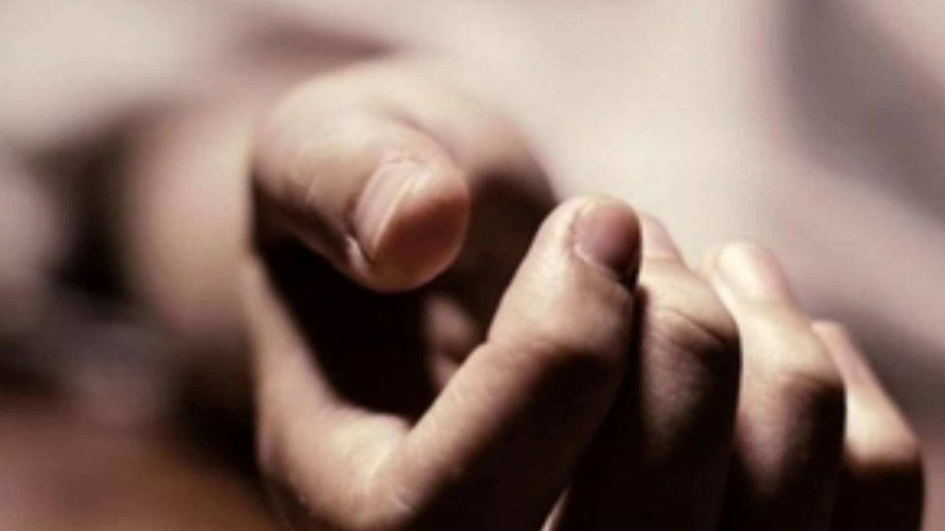 Girl Dies After Eating Birthday Cake Ordered Online In Punjab; Case Registered