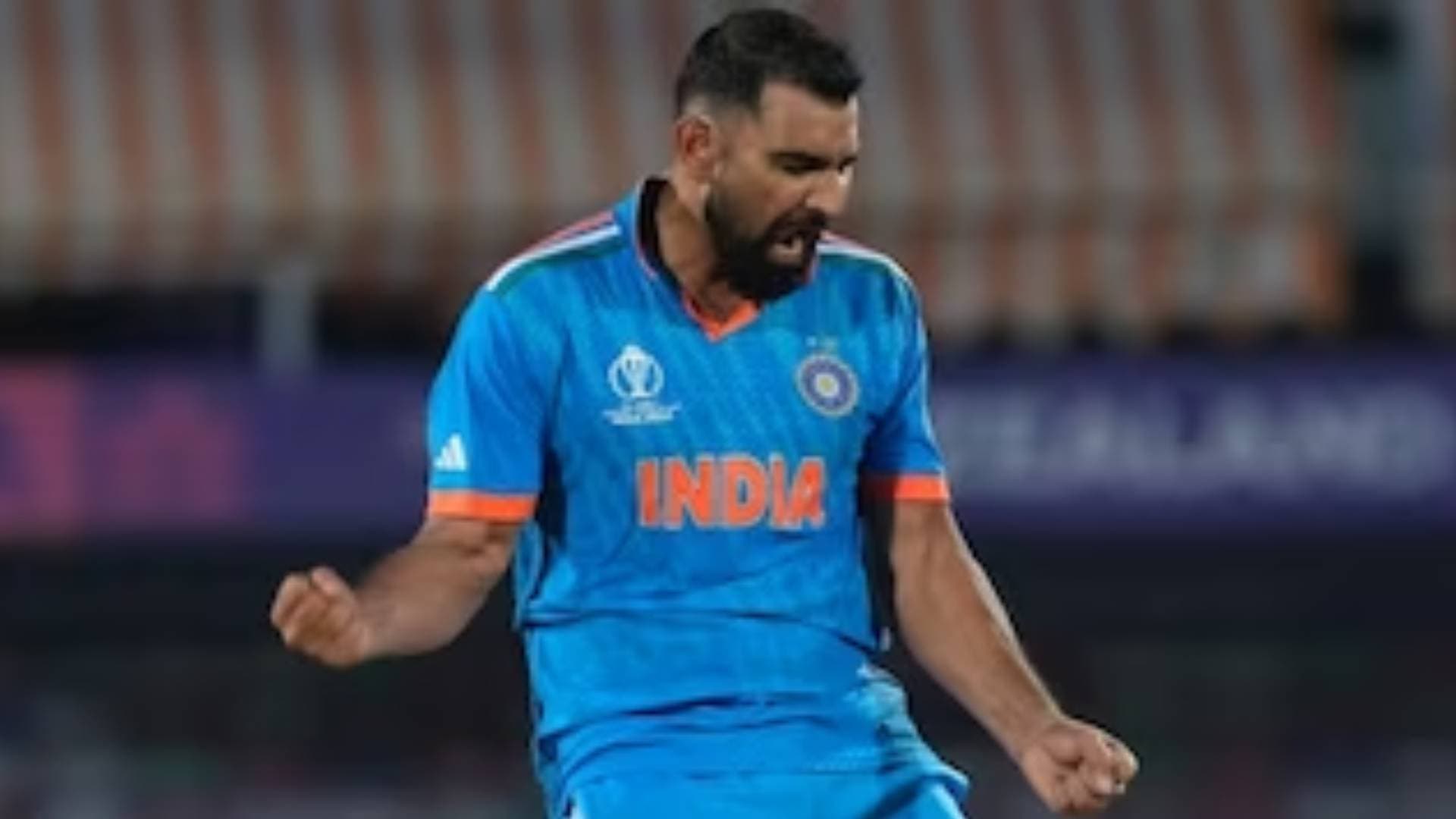Mohammed Shami's Special Show in World Cup 2023; Nominated For Arjuna Award 