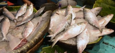 Ahead Of Bhai Dooj, Prices Of Fish & Meat Prices Skyrocket In Kolkata