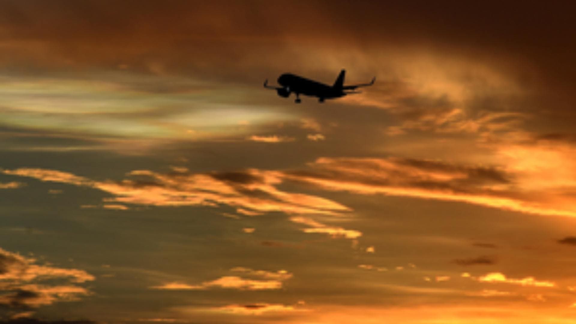 Interim Union Budget 2024: 517 New Aviation Routes Are Carrying 1.3 Cr Passengers, Says FM