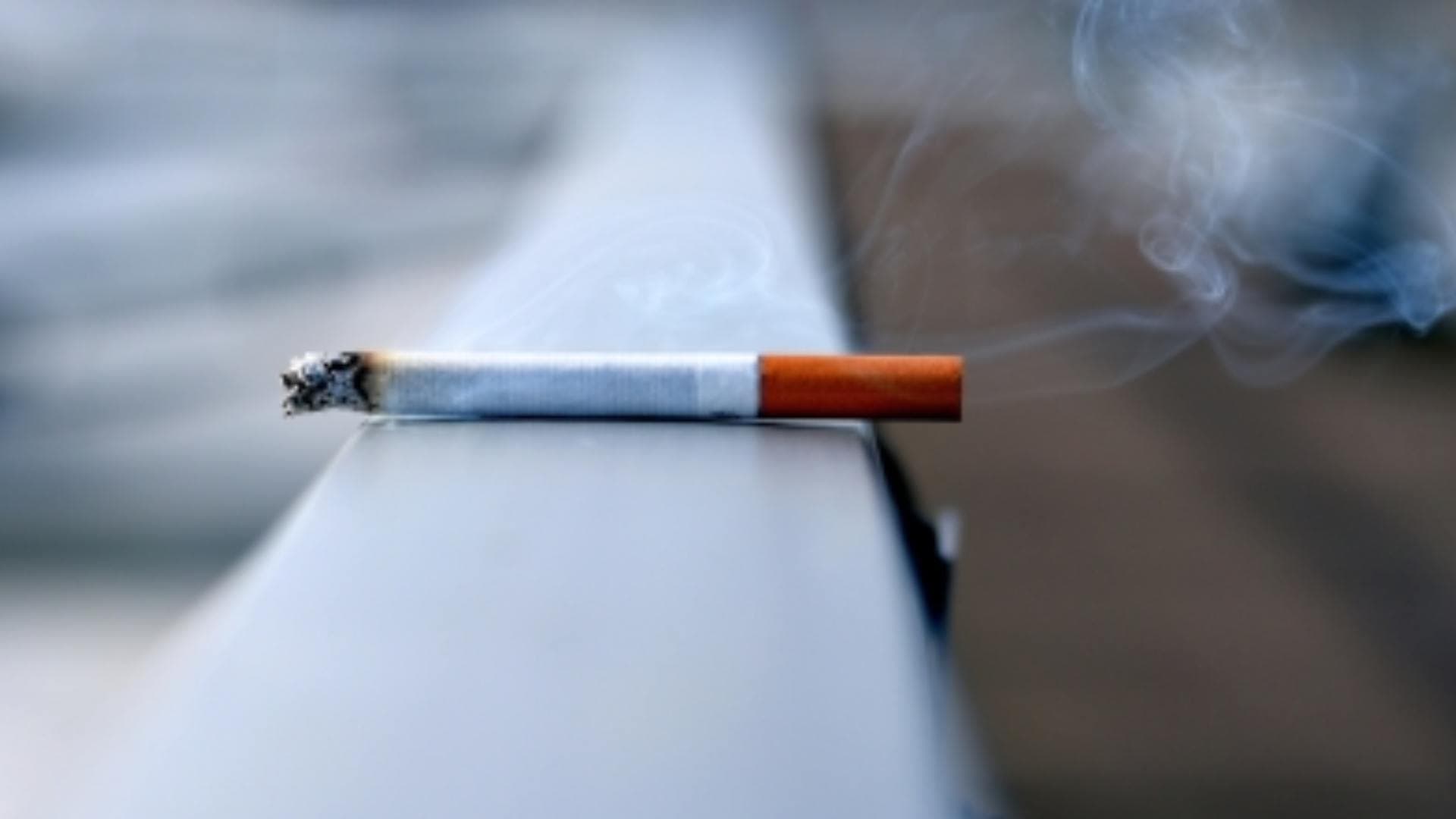 World No Tobacco Day: Know how tobacco can harm your body