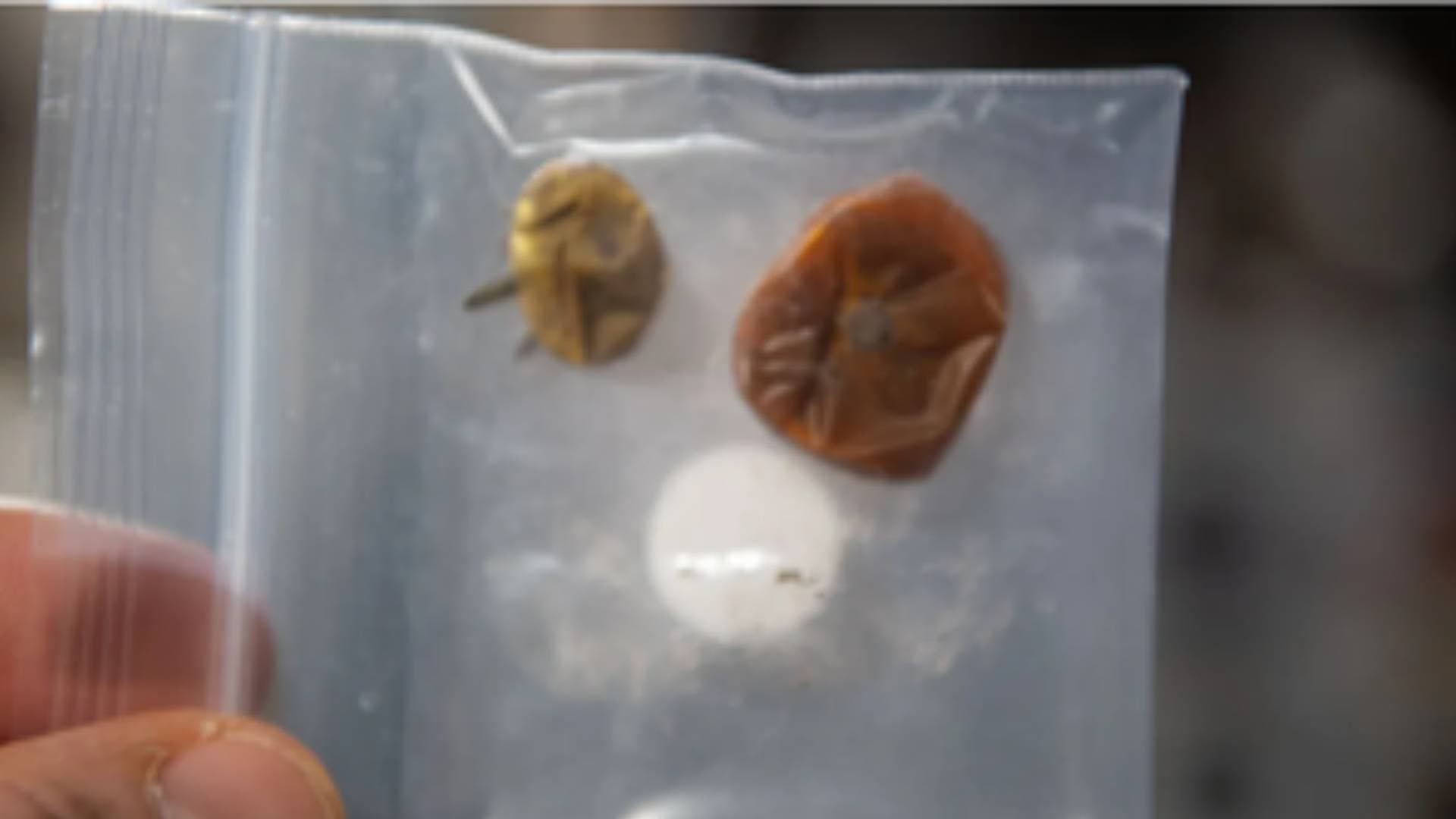 NASA Shares ‘Saucy Story Of Two Rogue Tomatoes’ Lost In Space For 8 Months