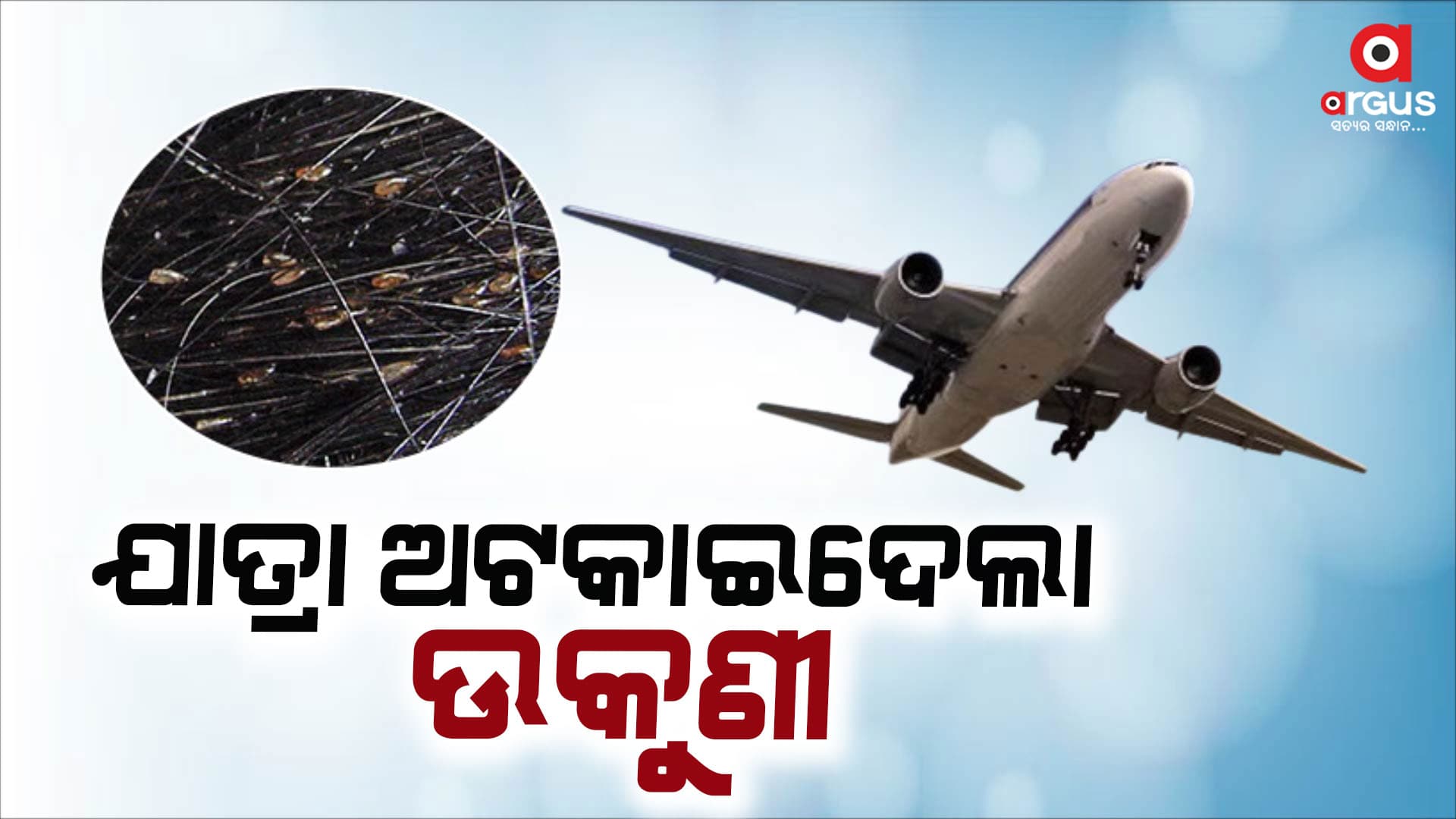 ଉକୁଣୀ ପାଇଁ ବିମାନ ଉଡାଣ ବନ୍ଦ