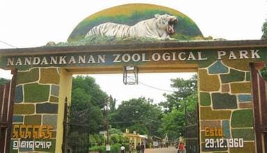 Nandankanan To Have 2 New Guests, A Cheetah and a White Lion, On New Year