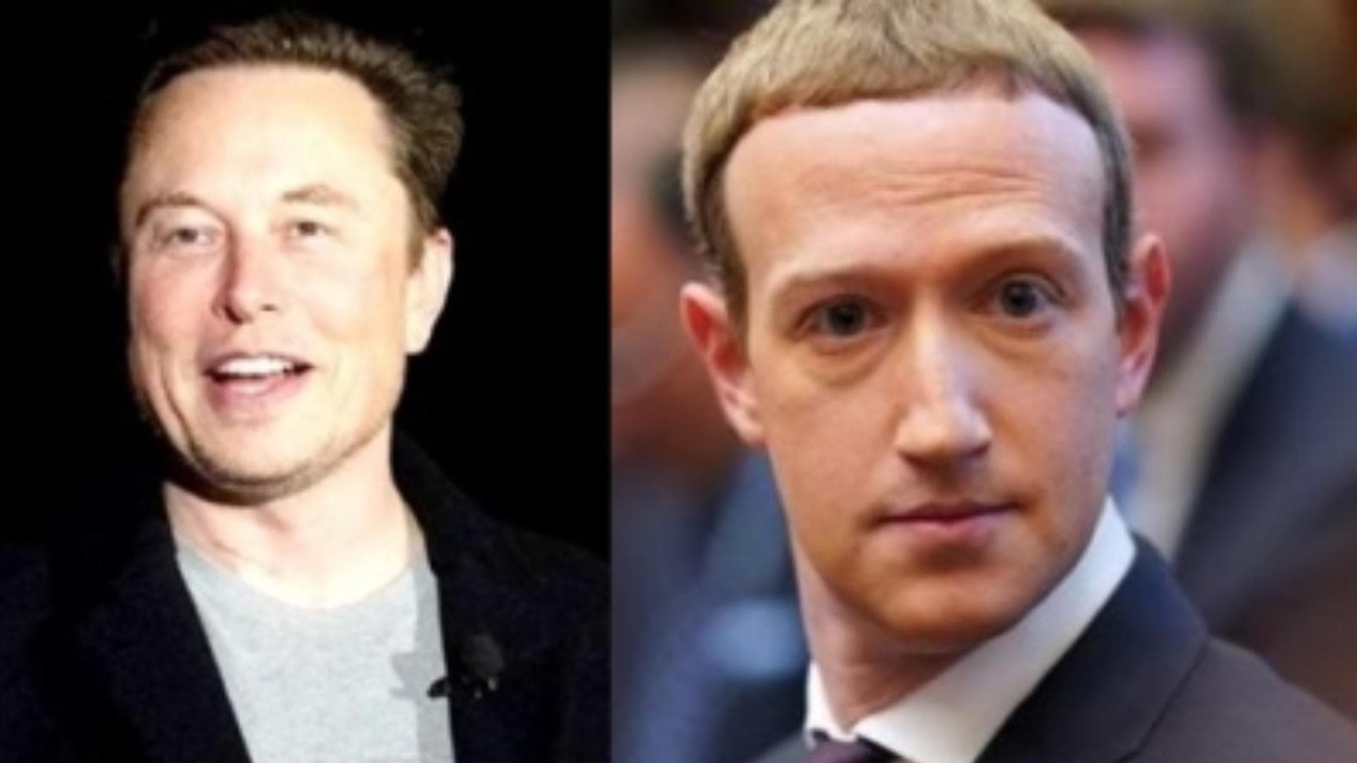 Elon Musk takes a dig at Meta as it suffers massive outage across platforms