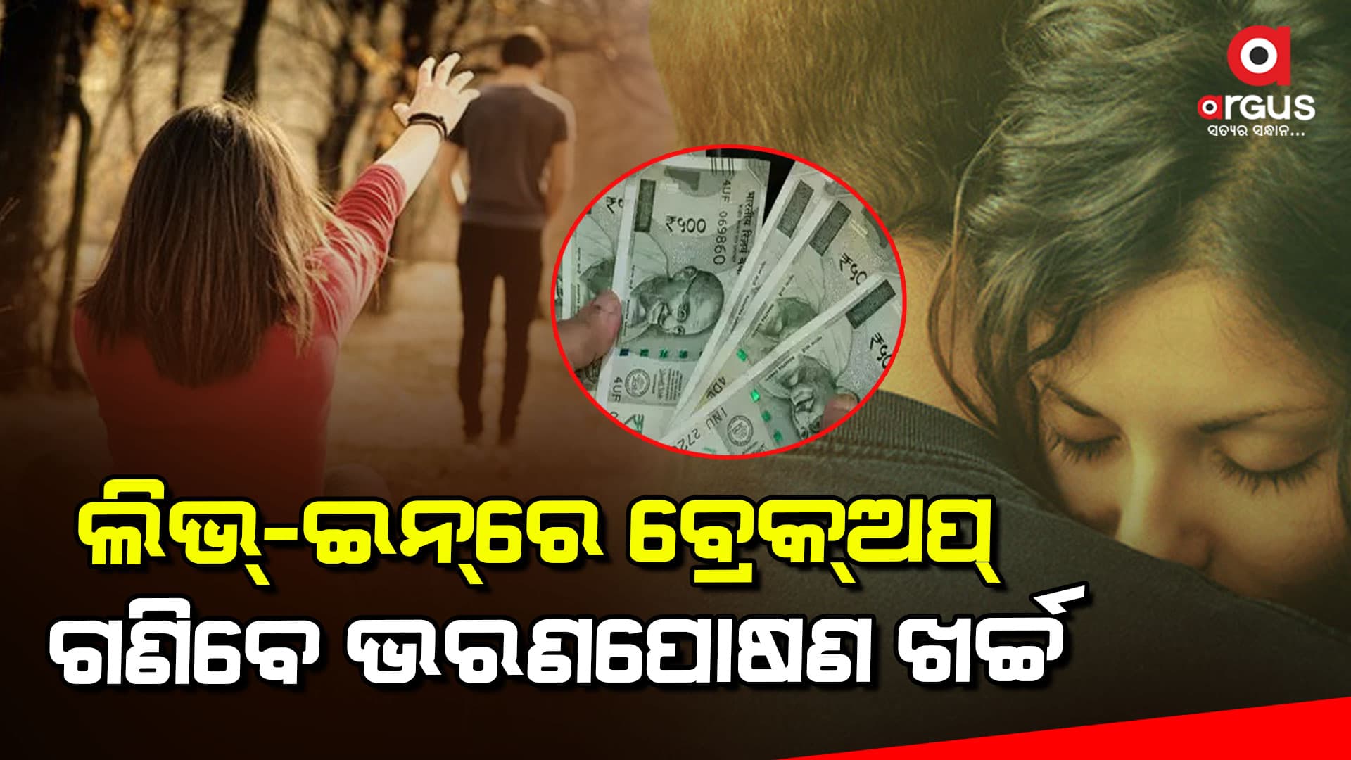 ଲିଭ୍ ଇନ୍ ରିଲେସନରେ ବ୍ରେକ ଅପ୍‌ ହେଲେ ଗଣିବେ ଭରଣପୋଷଣ