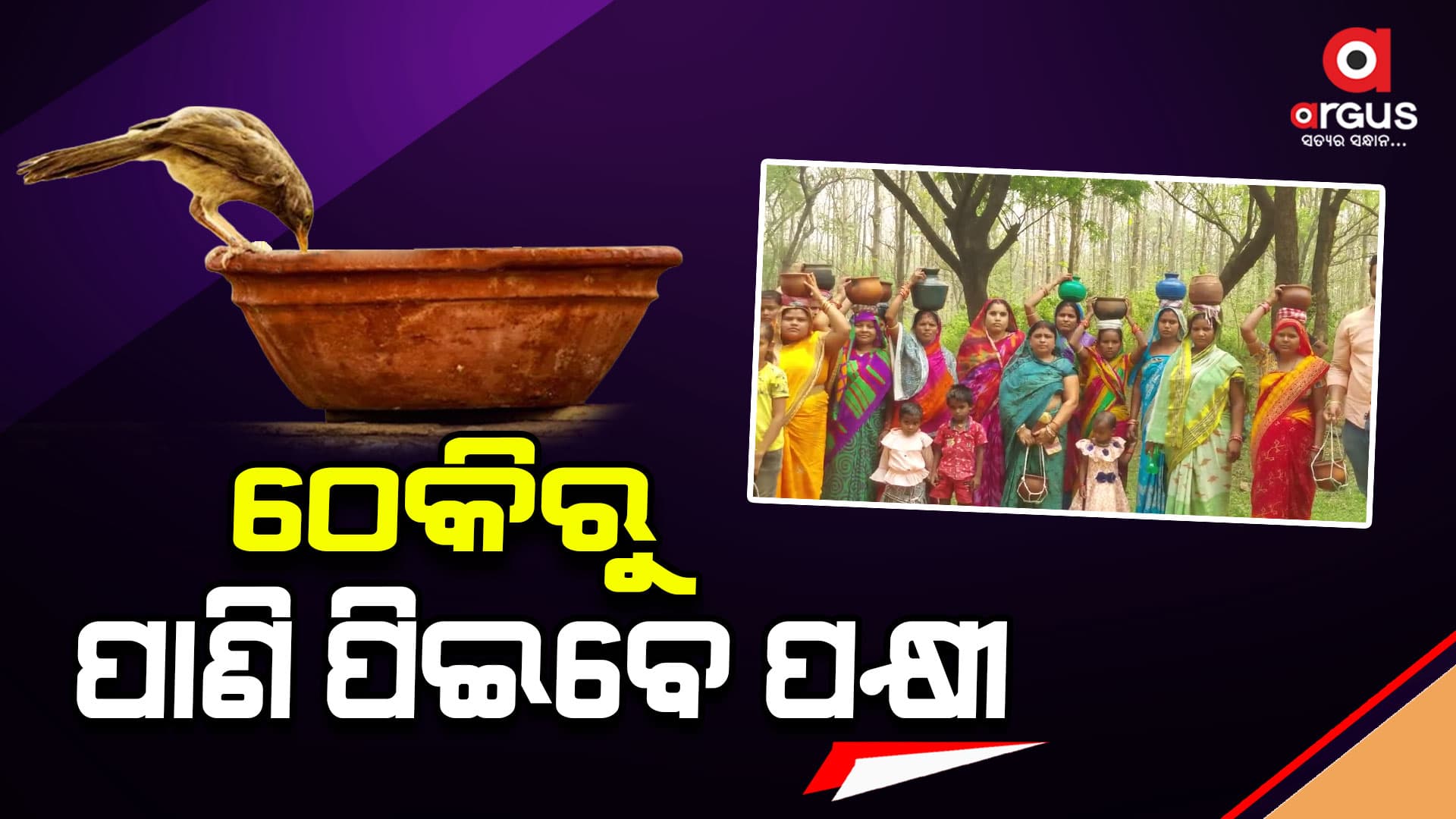 ଜଙ୍ଗଲ ଓ ବନ୍ୟଜନ୍ତୁ ରକ୍ଷା ନିମନ୍ତେ ବଢୁଛି ମହିଳାଙ୍କ ପ୍ରୟାସ