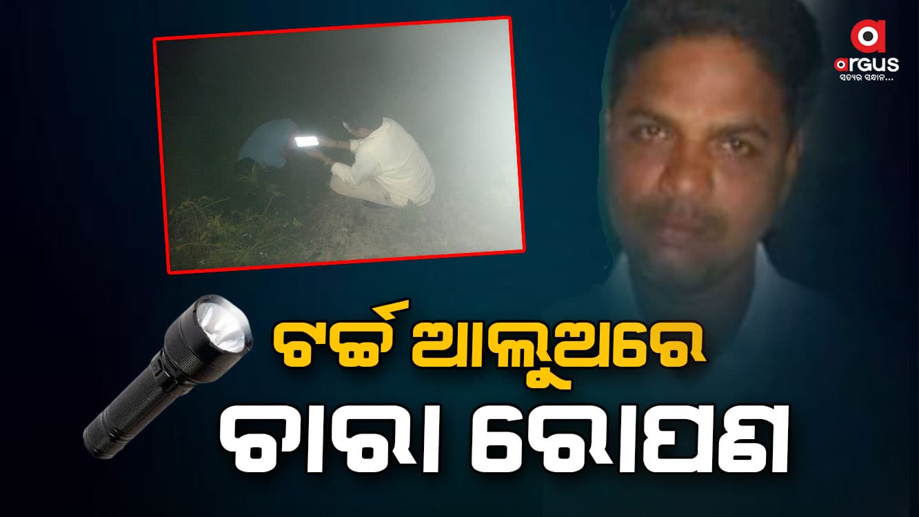 ଦୁର୍ନୀତି ଲୁଚାଇବାକୁ ଷଡ଼ଯନ୍ତ୍ର, ରାତି ଅଧିଆ ଚାରା ରୋପଣ  