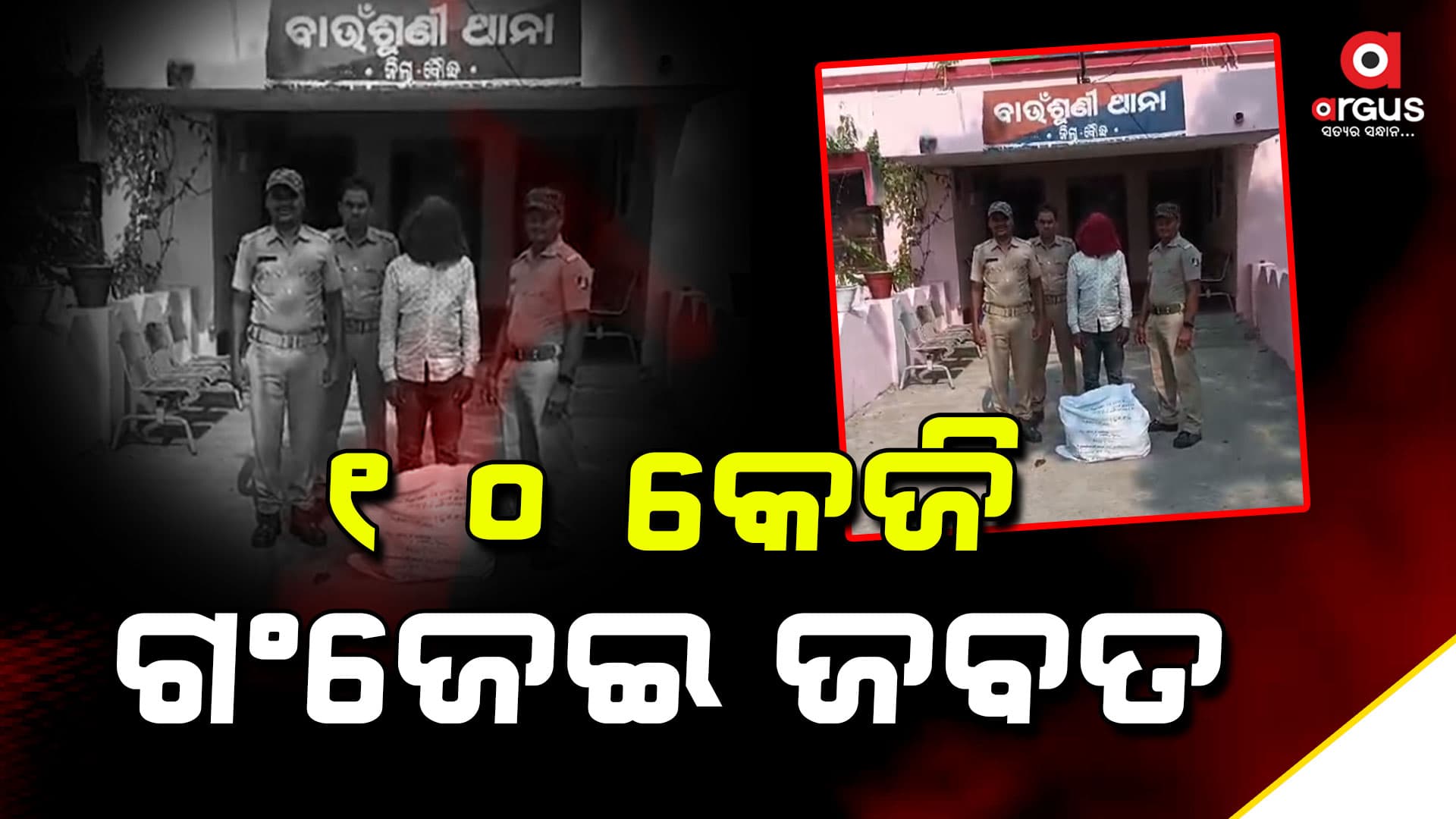 10 କେଜି ଗଂଜେଇ ଜବତ, ଜଣେ ଗିରଫ 