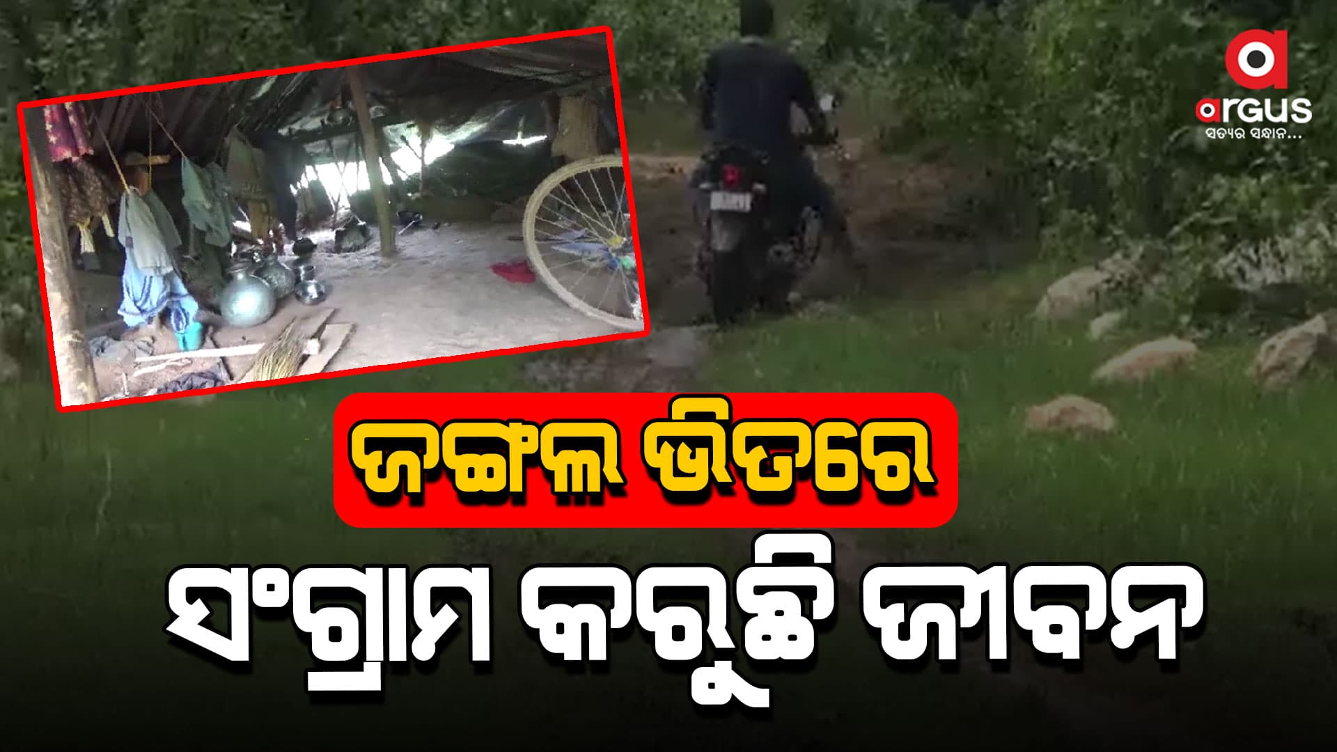 ପାହାଡ ଜଙ୍ଗଲ ଡେଇଁ ପାରୁନି ବିକାଶ