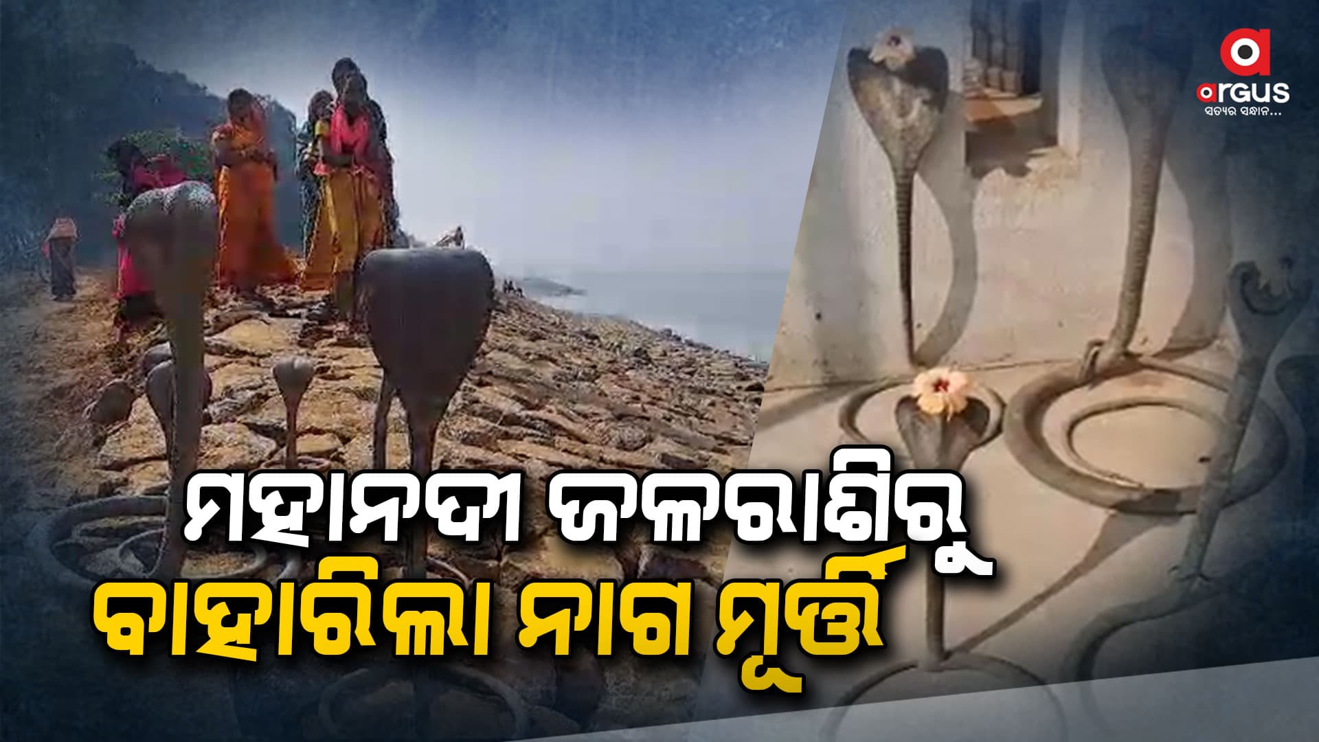 ମହାନଦୀ ଜଳରାଶି ରୁ ୭ଟି ନାଗ ମୂର୍ତ୍ତି ଉଦ୍ଧାର