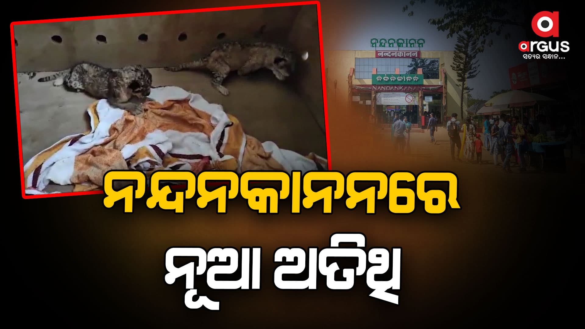 ନନ୍ଦନକାନନରେ ଅମର, ଆକବର ଓ ଆନ୍ଥୋନୀ