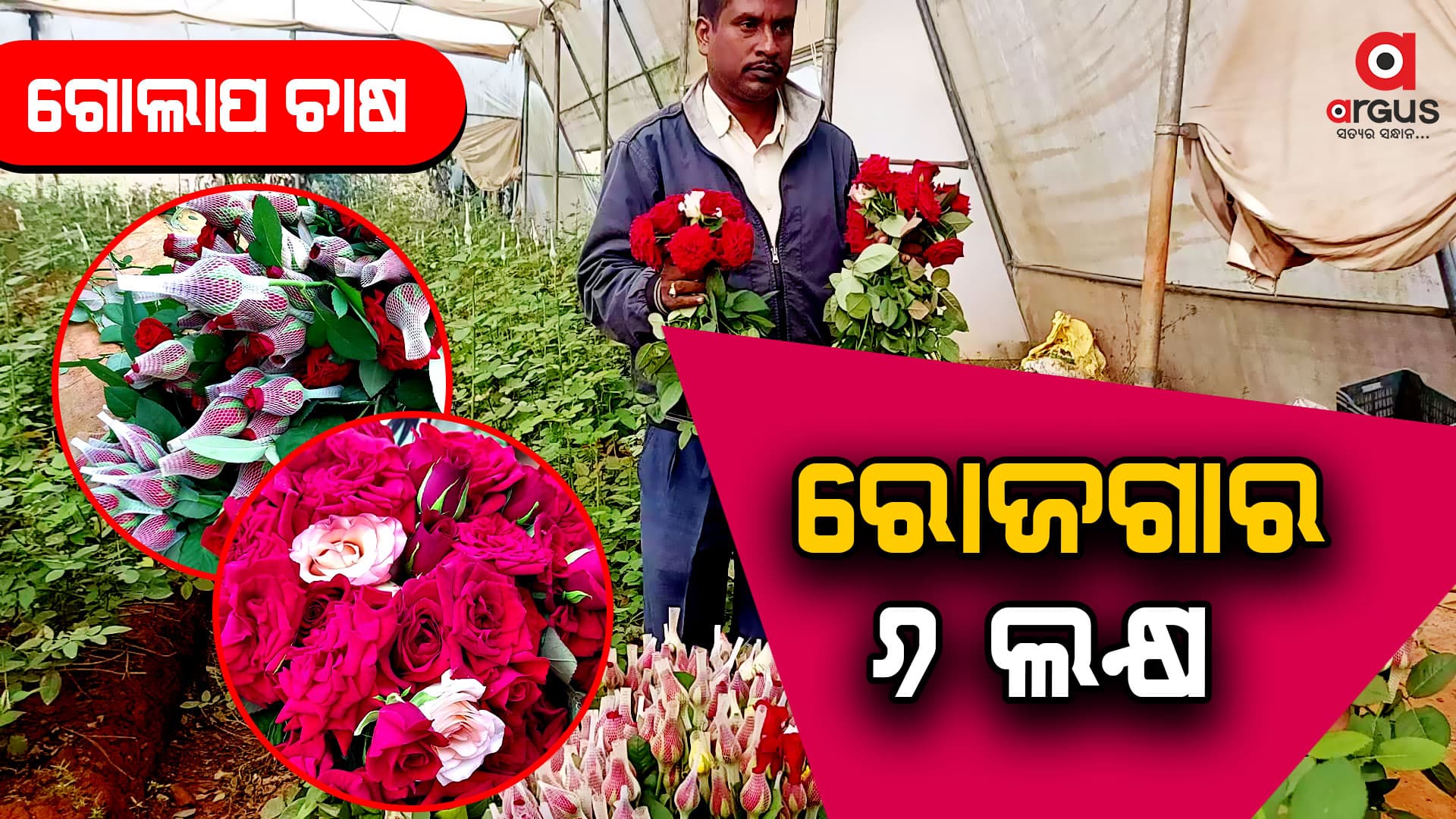 ଗୋଲାପ ଚାଷରୁ ବାର୍ଷିକ 5 ରୁ 6 ଲକ୍ଷ ଟଙ୍କା ରୋଜଗାର