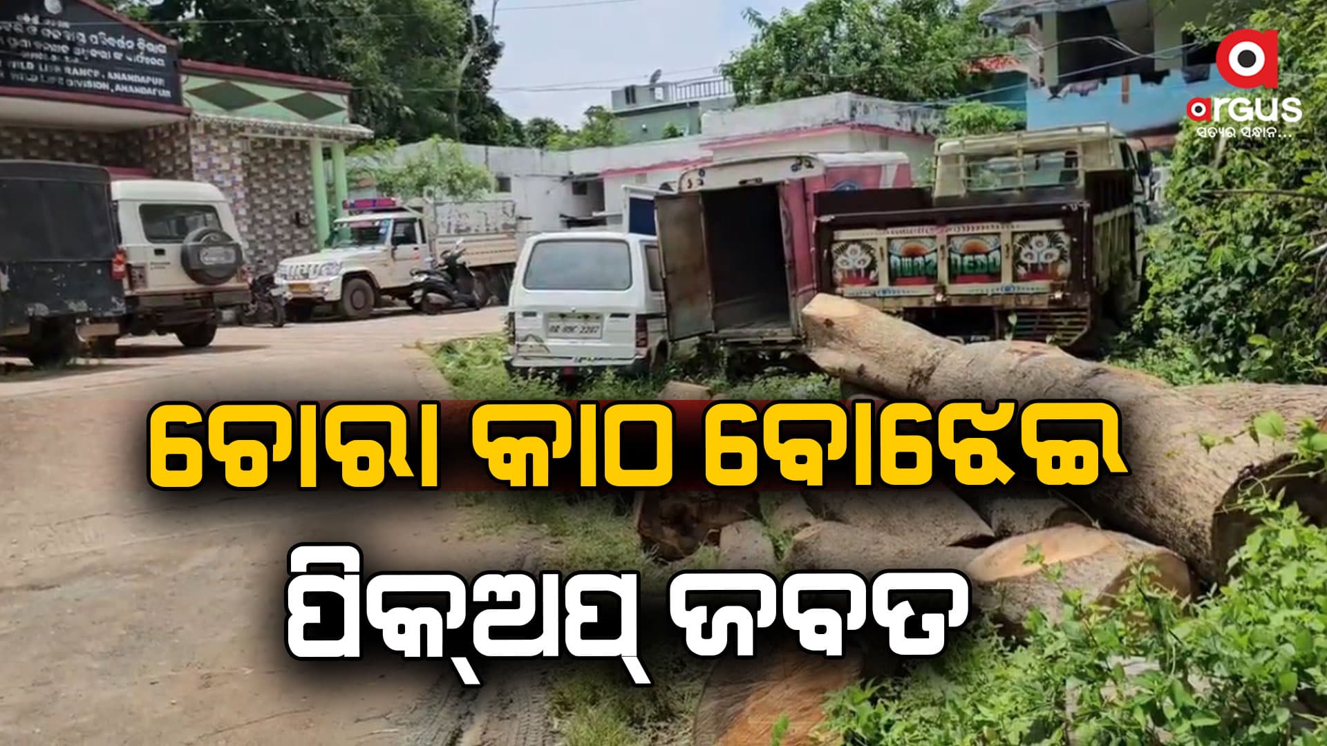 ଚୋରା କାଠ ବୋଝେଇ  ପିକ୍‌ଅପ୍ ଜବତ, ଦୁଇ ଅଟକ  