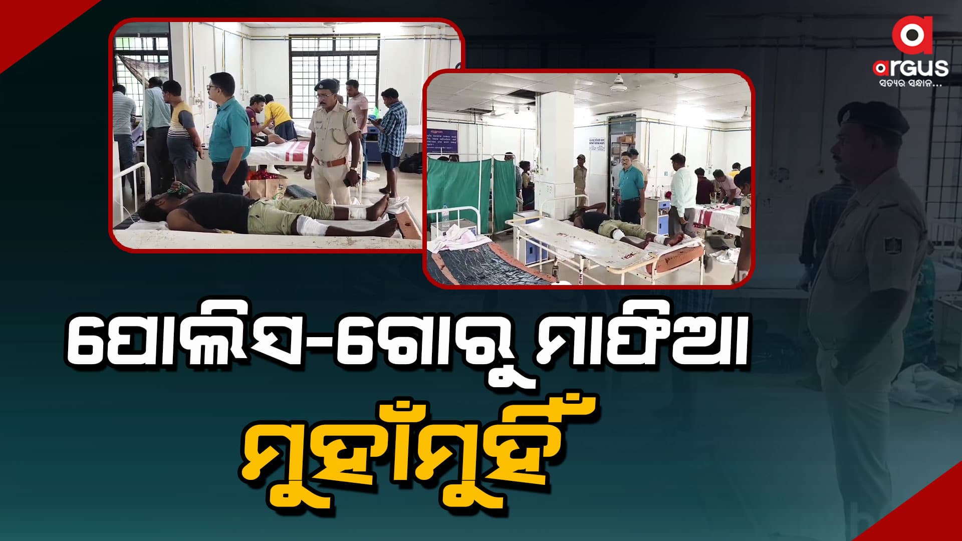 ଗୋରୁ ମାଫିଆଙ୍କ ପୋଲିସର ଗୁଳିମାଡ: ଜଣେ ଗୋରୁ ବ୍ୟବସାୟୀ ଗୁରୁତର
