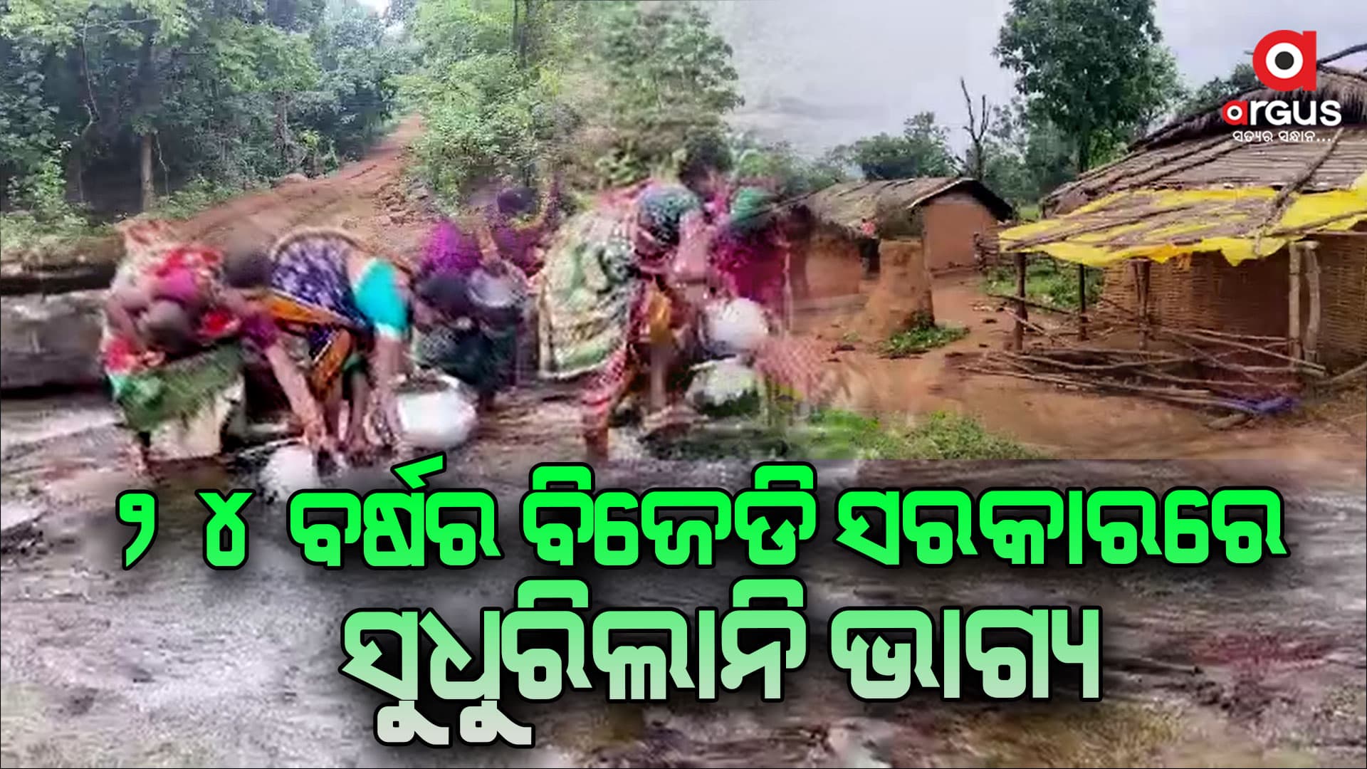 ଅଭିଶପ୍ତ ଜୀବନ କାଟୁଛନ୍ତି ପହରିଆ ସମ୍ପ୍ରଦାୟ 