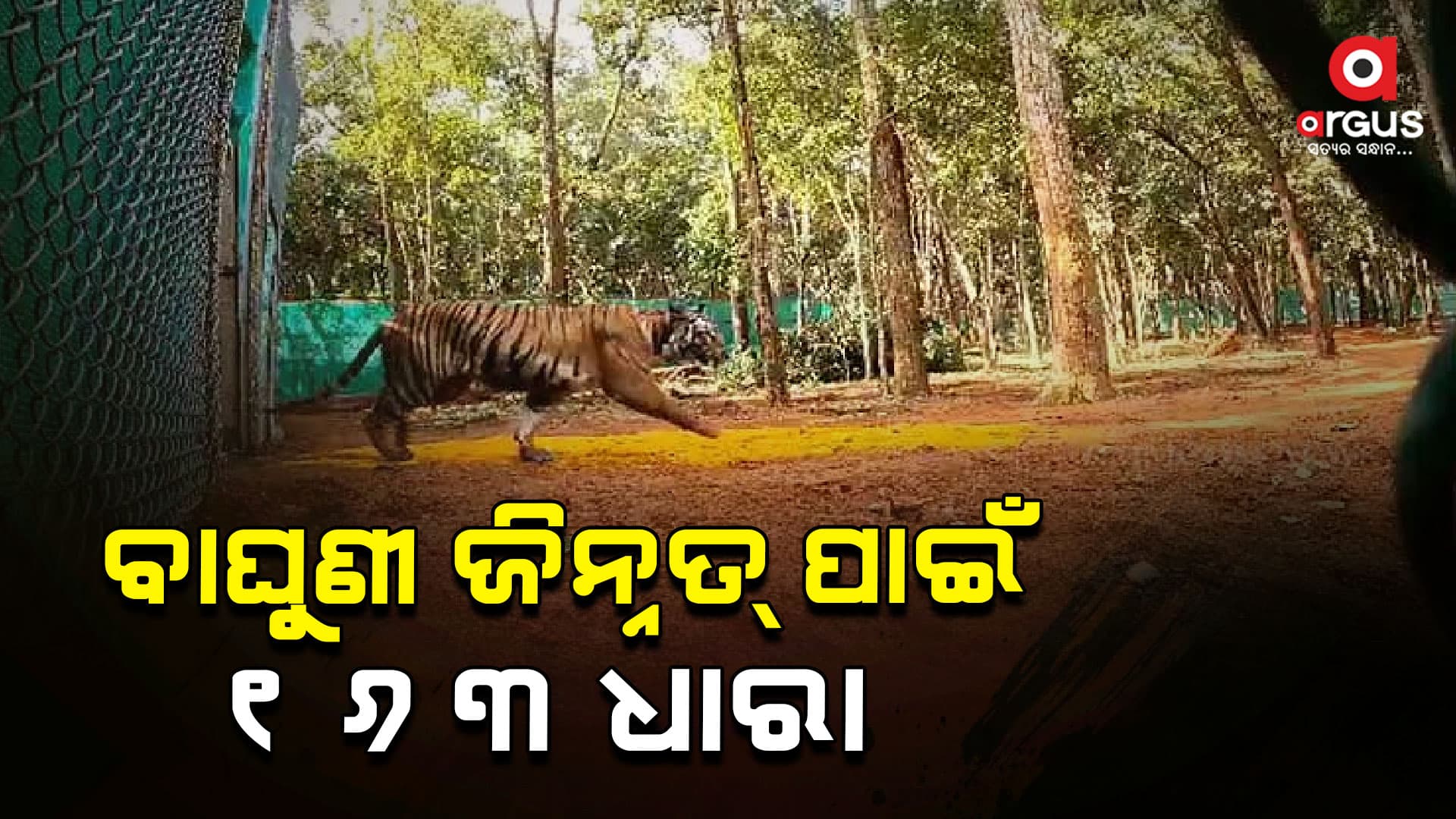 ବାଘୁଣୀ ଜୀନ୍ନତ୍ ପାଇଁ ଏବେ ଝାଡ଼ଖଣ୍ଡରେ ଭାରତୀୟ ନ୍ୟାୟ ସଂହିତା ୧୬୩ ଧାରା ଜାରି