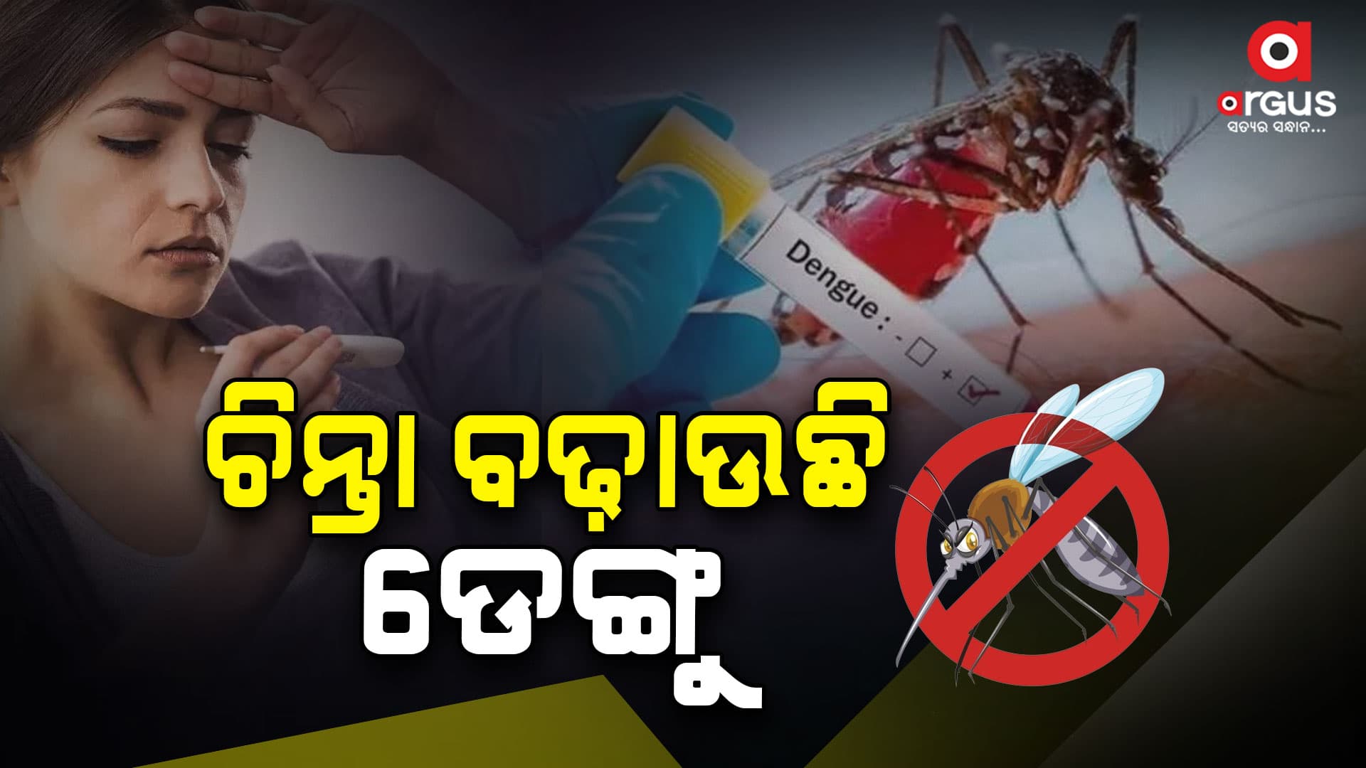 ଗତବର୍ଷ ଅପେକ୍ଷା ରାଜ୍ୟରେ  ଡେଙ୍ଗୁ କେସ ୧୦୦ ରୁ ୧୫୦ ଅଧିକ ରହିଛି