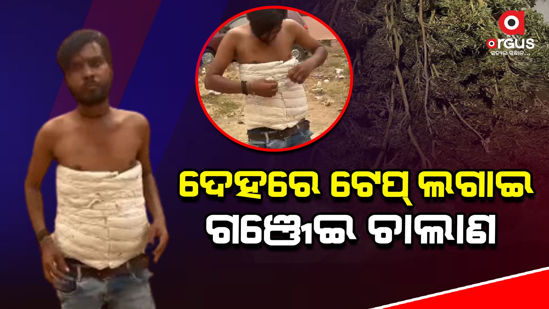 ଦେହରେ ଟେପ୍‌ ଲଗାଇ ଗଞ୍ଜେଇ ଚାଲାଣ,  4 ଅଭିଯୁକ୍ତ ଗିରଫ