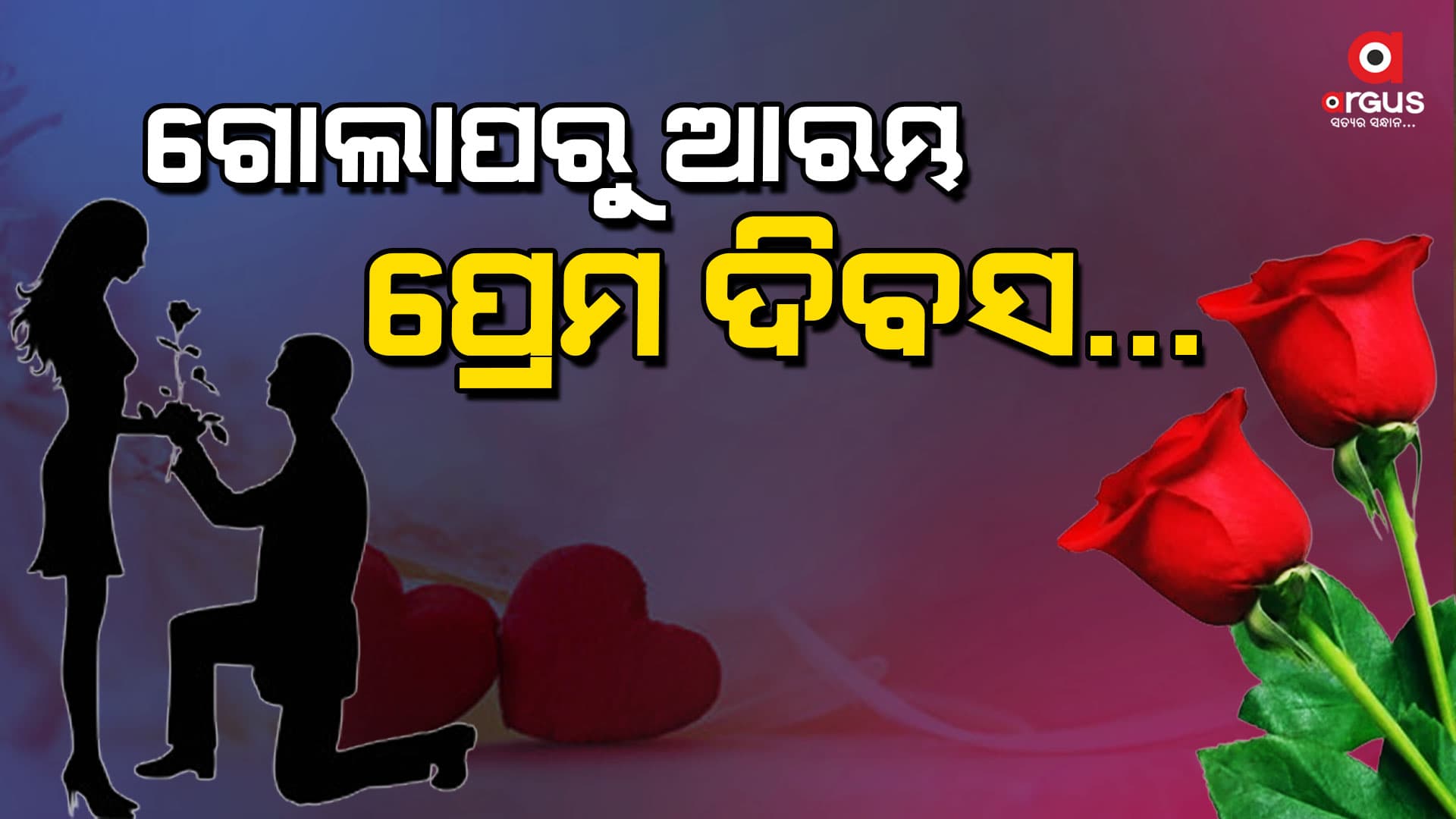ଆରମ୍ଭ ହେଲା ପ୍ରେମ ସପ୍ତାହ, ଗୋଲାପ ଦେଇ ମନ କଥା ଜଣାଇବେ ପ୍ରେମୀ ଯୁଗଳ