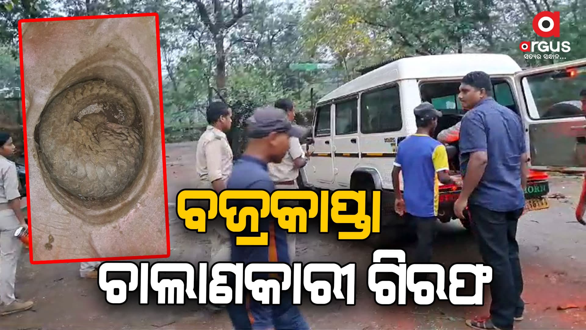 ଗୋବରଘାଟି ମୁଖ୍ୟ ରାସ୍ତାରୁ ବଜ୍ରକାପ୍ତା ଜବତ ଘଟଣା: ଦୁଇ ଗିରଫ