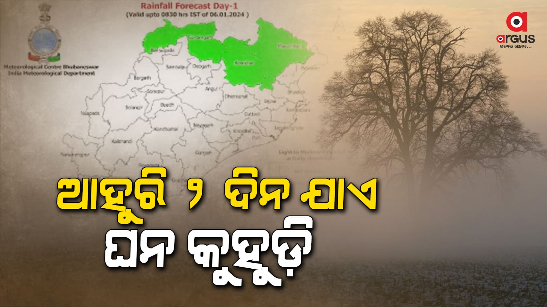 ଆହୁରି ଦୁଇ ଦିନ ଘନ କୁହୁଡ଼ି, ୮ ଜିଲ୍ଲାକୁ ୟେଲୋ ସତର୍କତା