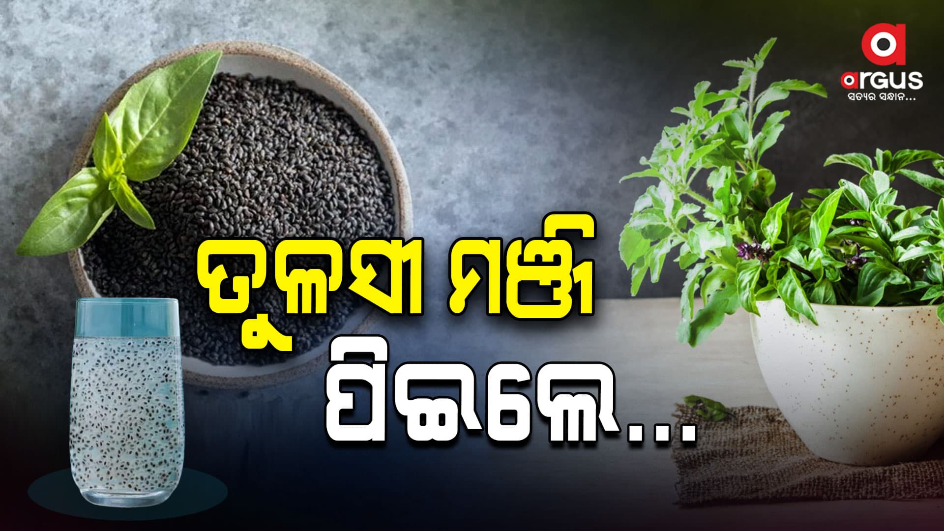 ହଜମ ଶକ୍ତି ବଢାଇବ ତୁଳସୀ ମଞ୍ଜି