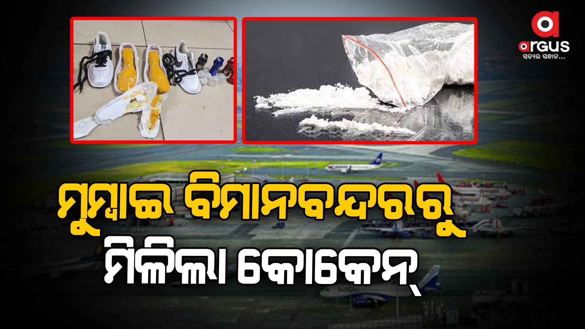 ୧୯.୭୯ କୋଟି ଟଙ୍କାର କୋକେନ୍‌ ସହ ମହିଳା ଗିରଫ