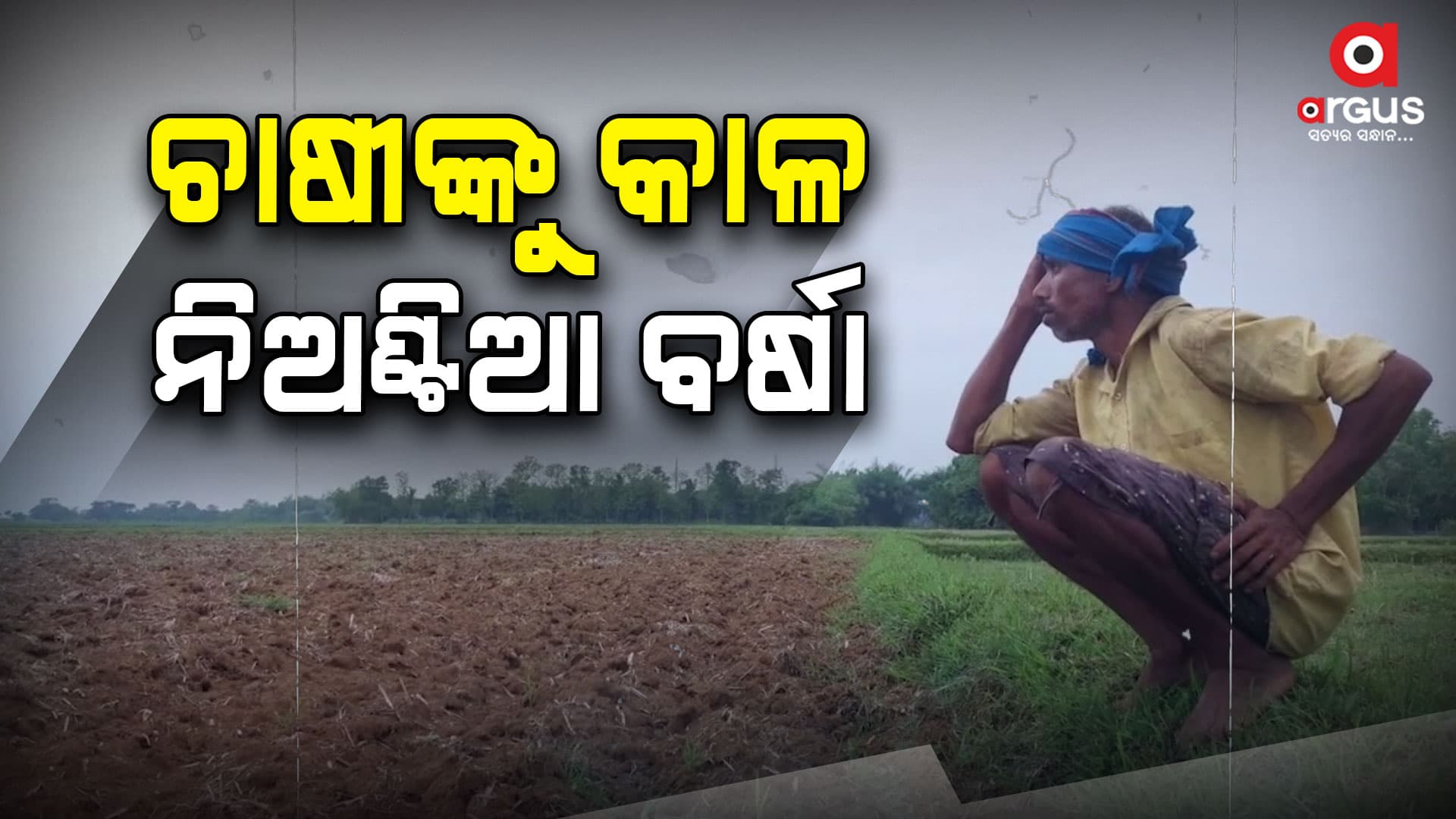 କେଉଁଠି ନିଅଣ୍ଟିଆ ବର୍ଷା ତ କେଉଁଠି ବିହନ ଚିନ୍ତା