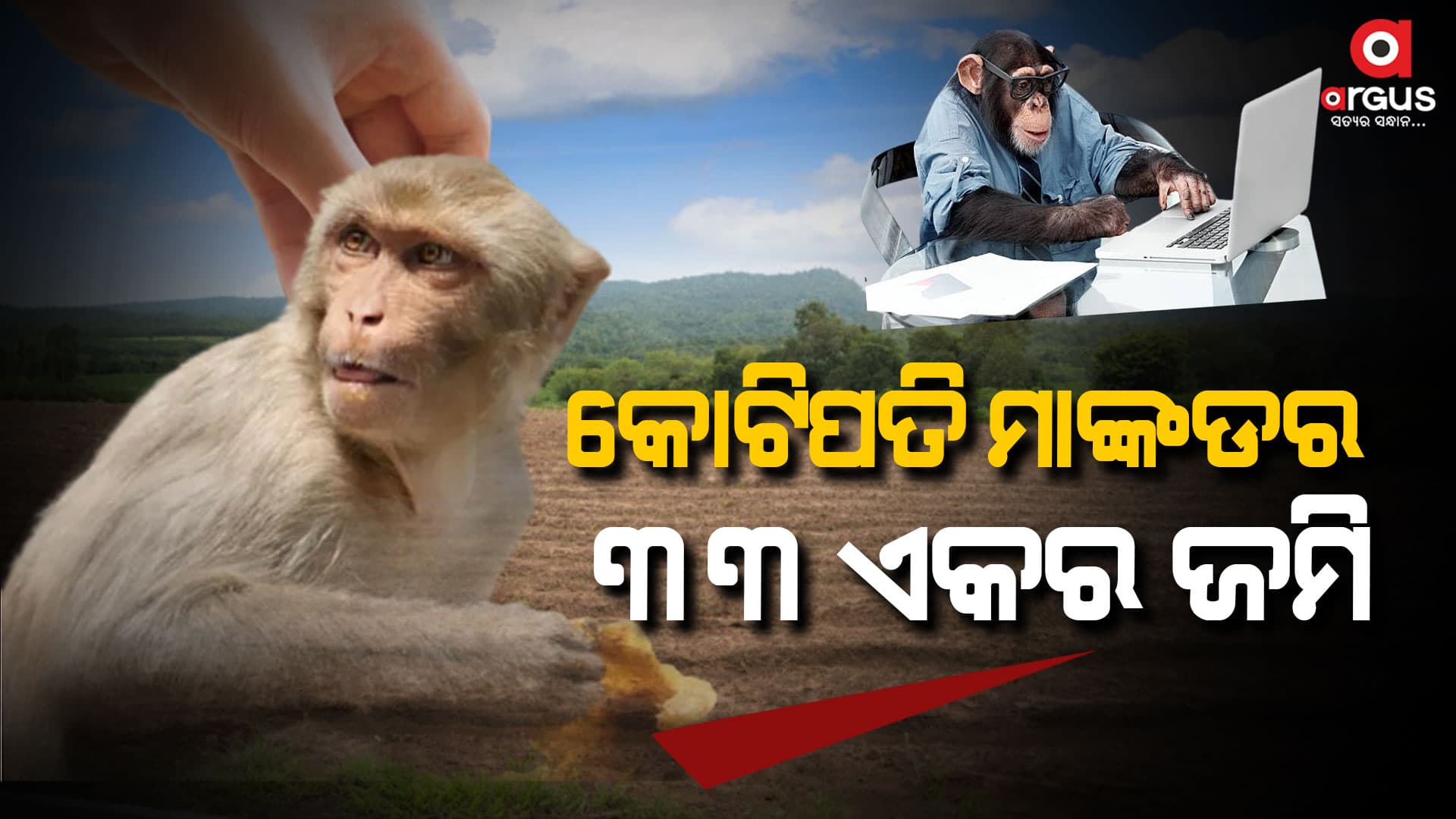 ୨ ମହଲା କୋଠାର ମାଲିକ ମାଙ୍କଡ