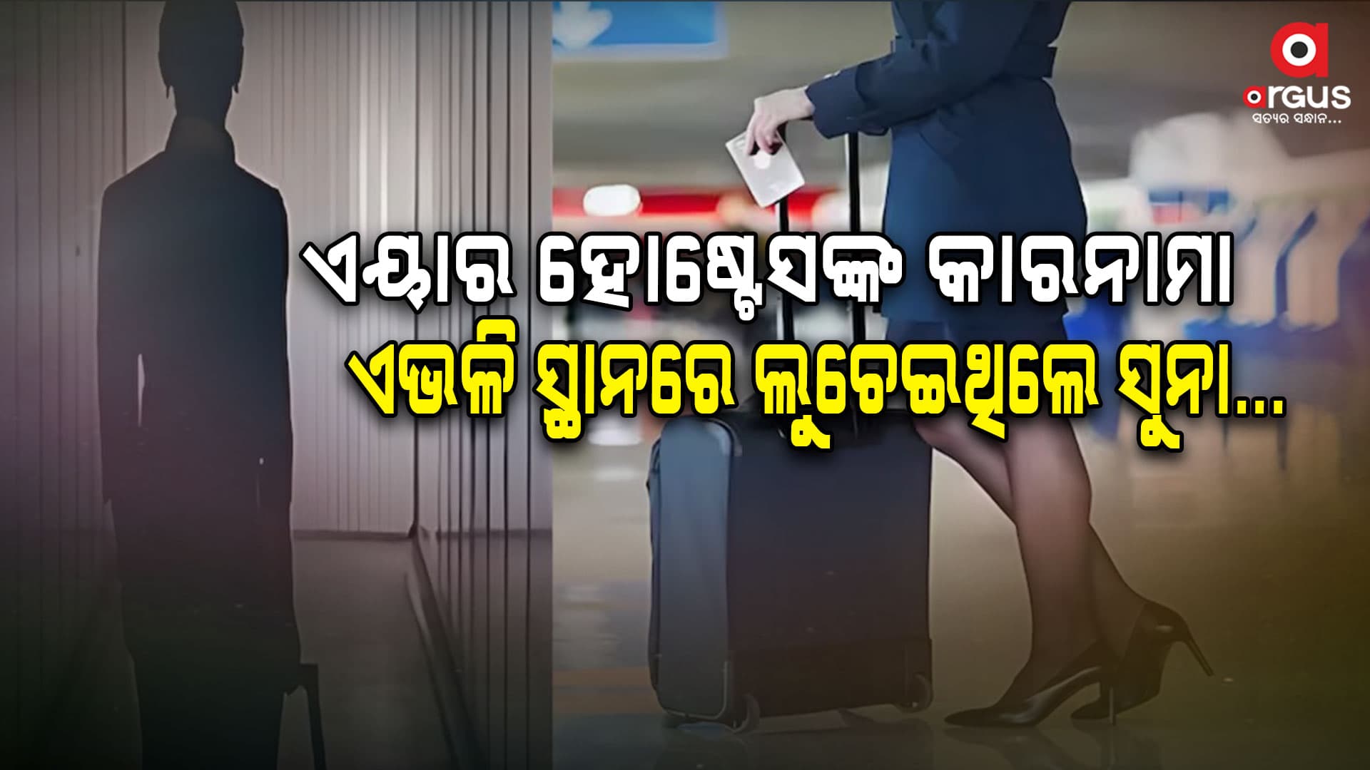 ଏୟାର ହୋଷ୍ଟେସ କଲେ ଏଭଳି ଘୃଣ୍ୟ କାର୍ଯ୍ୟ.....ଜାଣିଲେ ଆପଣଙ୍କ ହୋସ ଉଡ଼ିଯିବ
