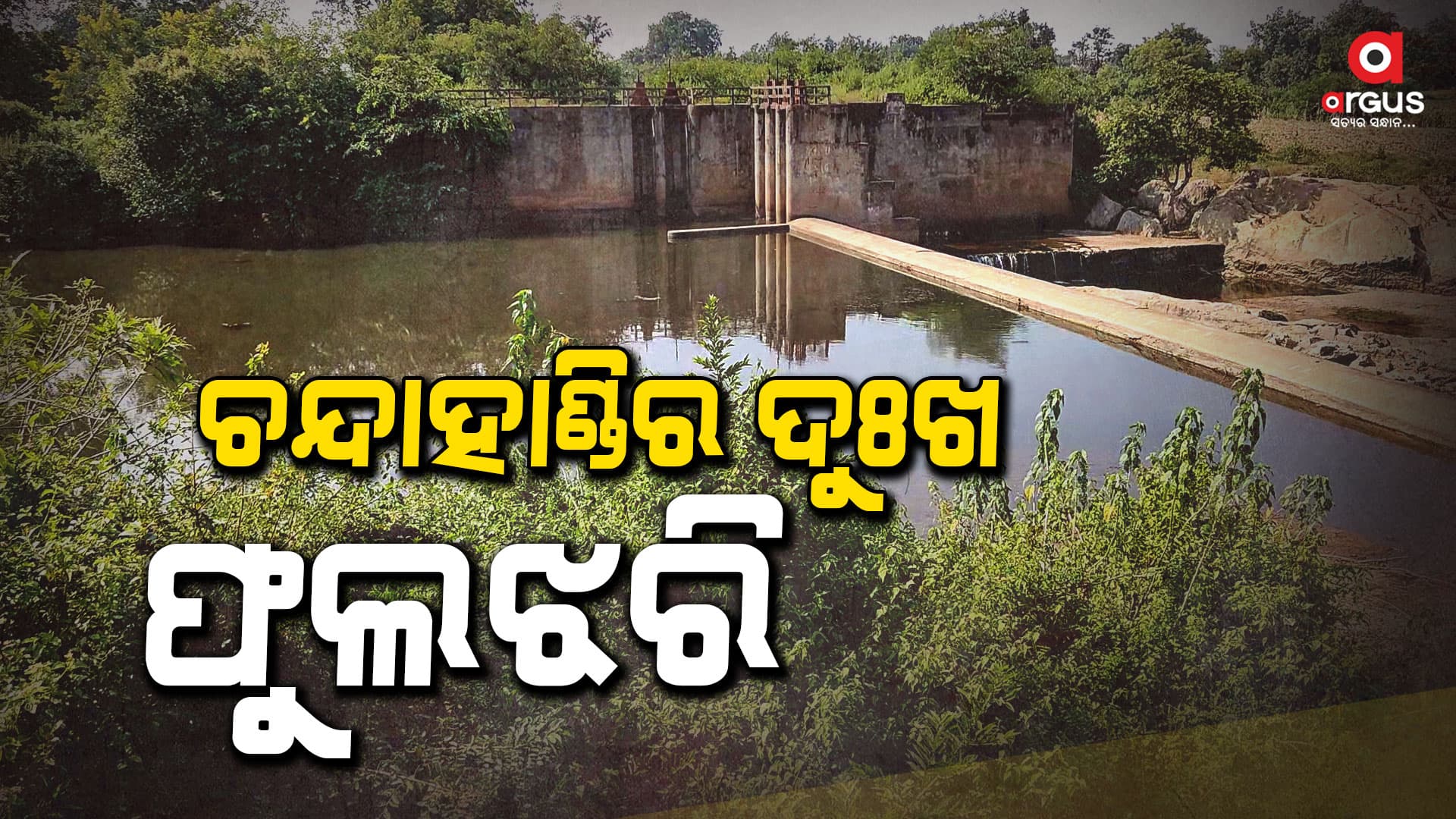 ସତ୍ତା ହରେଇବାକୁ ବସିଛି ଫୁଲଝରି ଡ୍ୟାମ