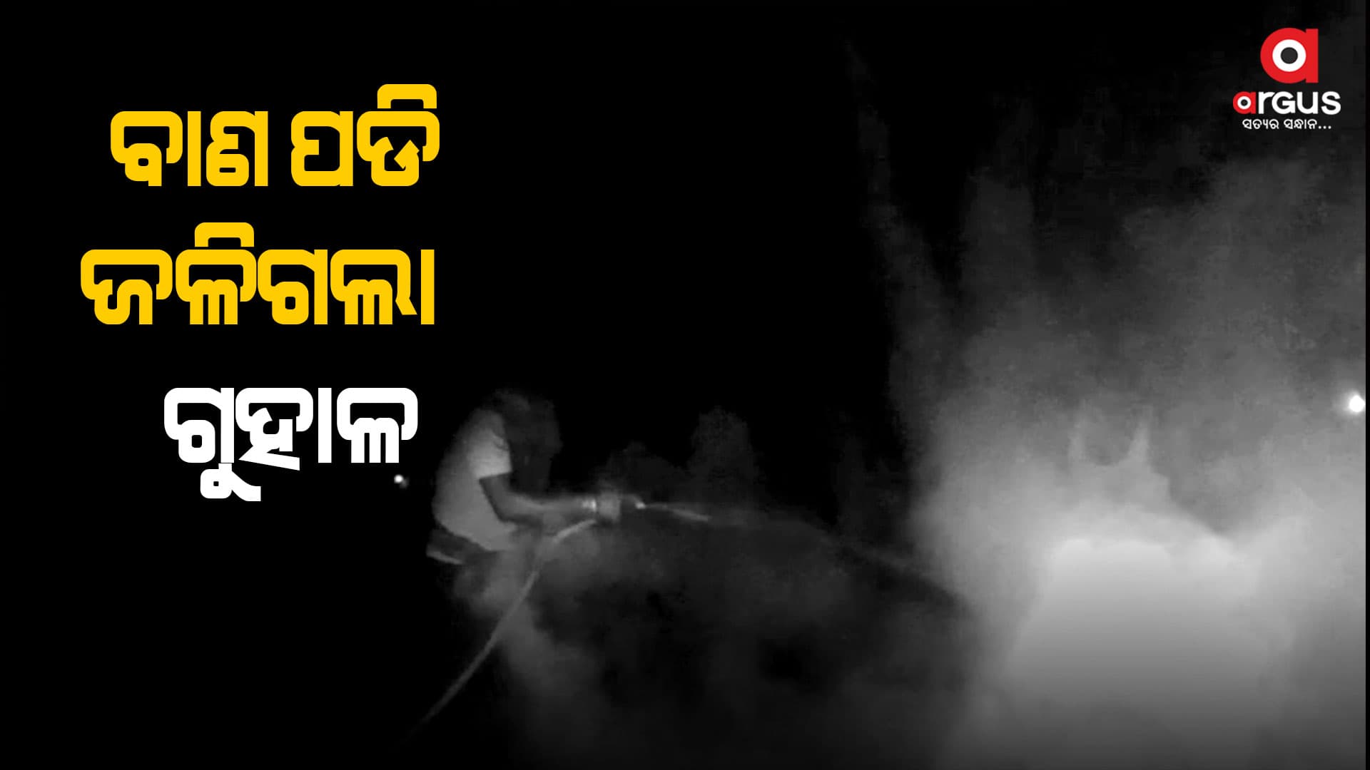 ଦୀପାବଳିରେ ବାଣ ପଡି ଜଳିଗଲା ଗୁହାଳ, 2 ଗାଈ ମୃତ