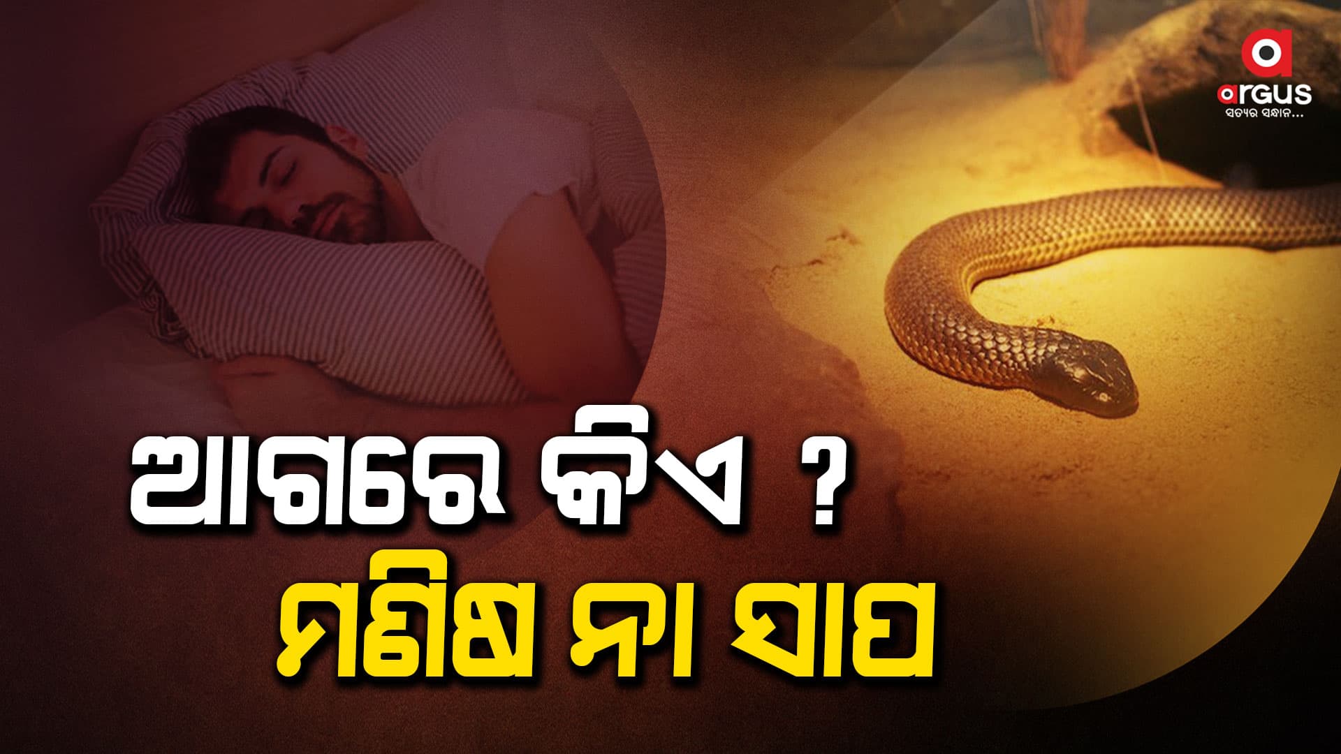 ସବୁଠୁ ଅଧିକା କିଏ ଶୁଏ ?