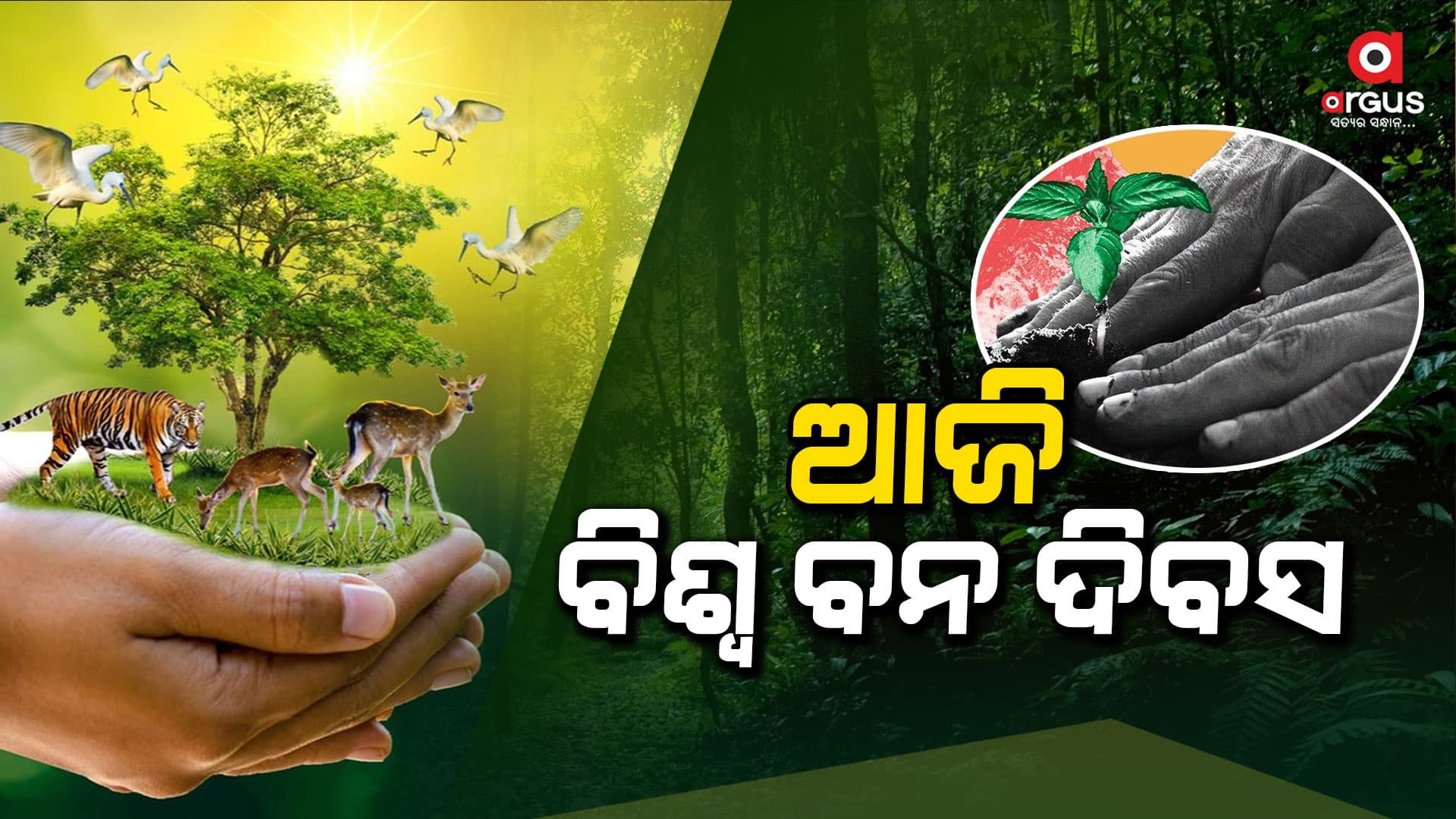 ଜଙ୍ଗଲ ବଞ୍ଚିଲେ ଆମେ ବଞ୍ଚିବା