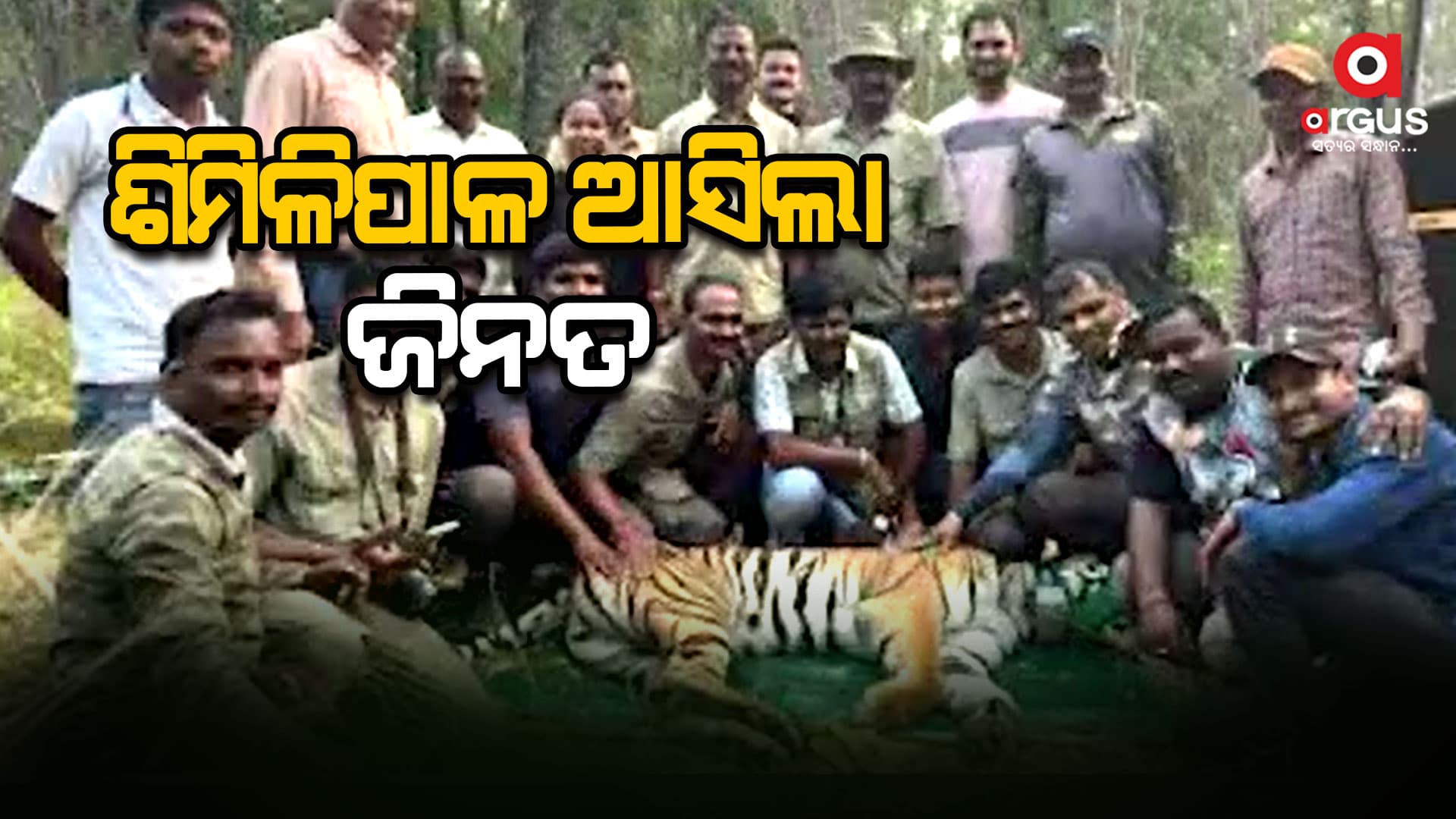 ମହାରାଷ୍ଟ୍ର ତଡବା ଅନ୍ଧାରୀ ଜାତୀୟ ଉଦ୍ୟାନରୁ ଆସିଲା ଆଉ ଏକ ବାଘୁଣୀ