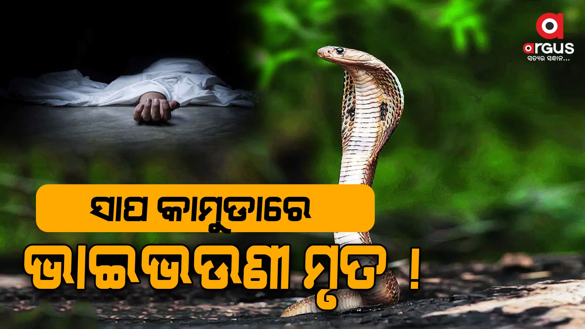ସାପ ନେଇଗଲା ଭାଇଭଉଣୀଙ୍କ ଜୀବନ...