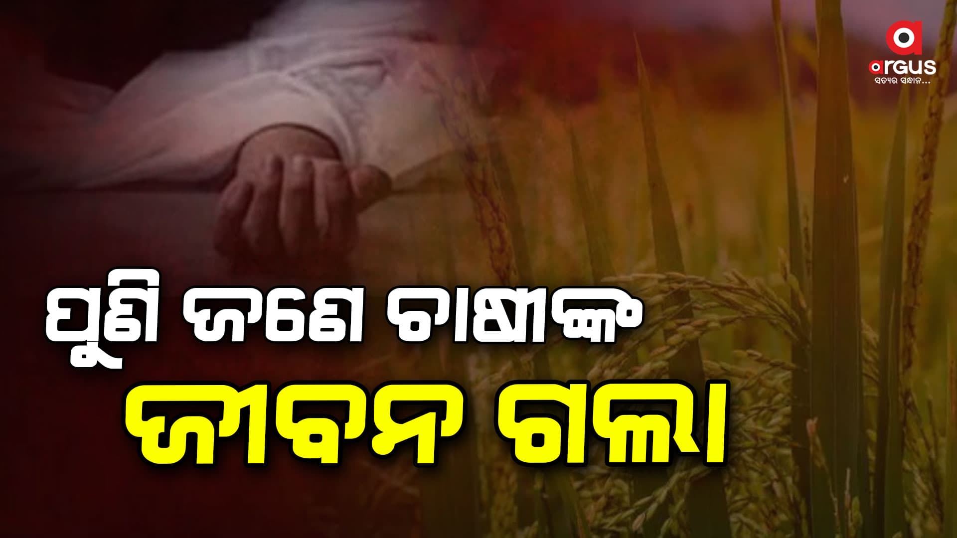ବଲାଙ୍ଗିରରେ ପୁଣି ଚାଷୀ ଆତ୍ମହତ୍ୟା