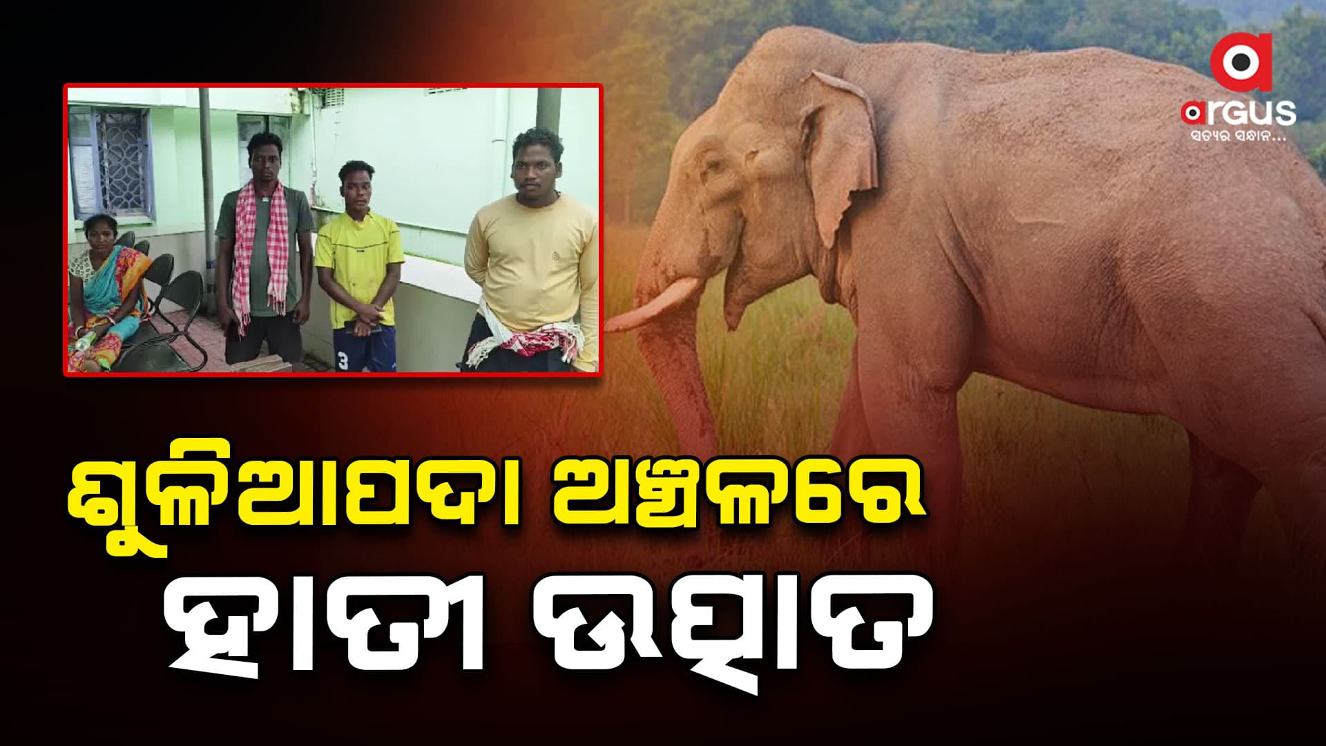 ହାତୀ ଆକ୍ରମଣରେ ୨ ମୃତ୍ୟୁ, ୩ ଗୁରୁତର