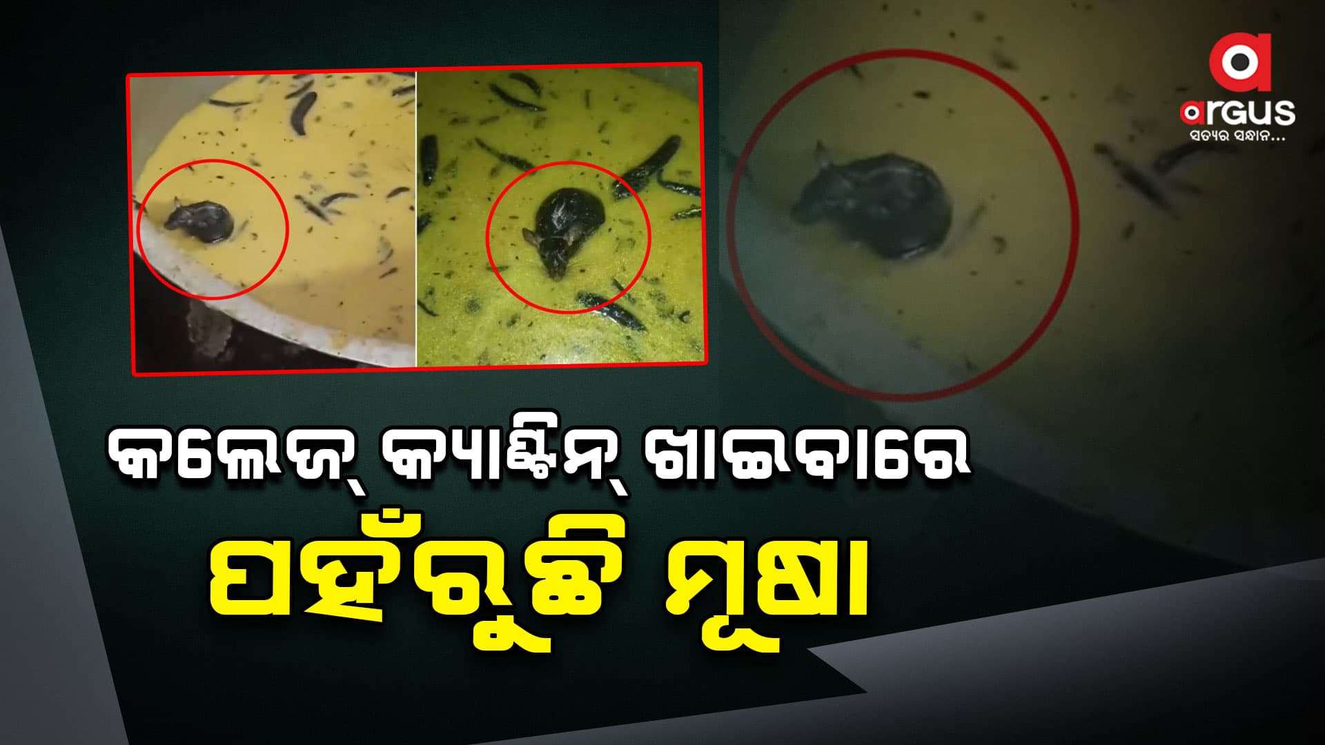 ଖାଦ୍ୟରେ ପହଁରିଲା ମୂଷା, ଭିଡିଓ ହେଲ ଭାଇରାଲ 