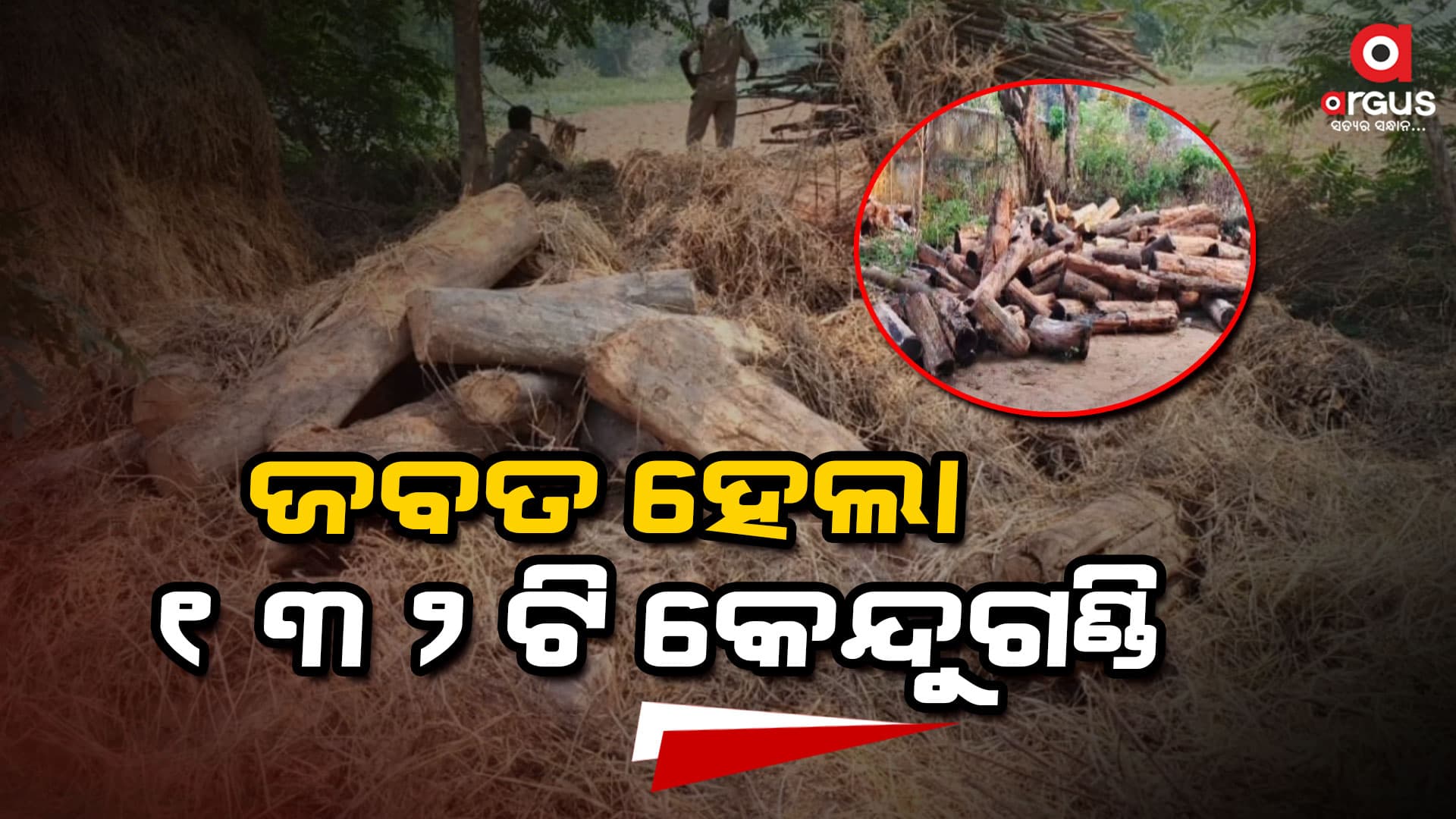  ଜଙ୍ଗଲ ବିଭାଗ ପକ୍ଷରୁ ୧୩୨ଟି କେନ୍ଦୁଗଣ୍ଡି ଜବତ