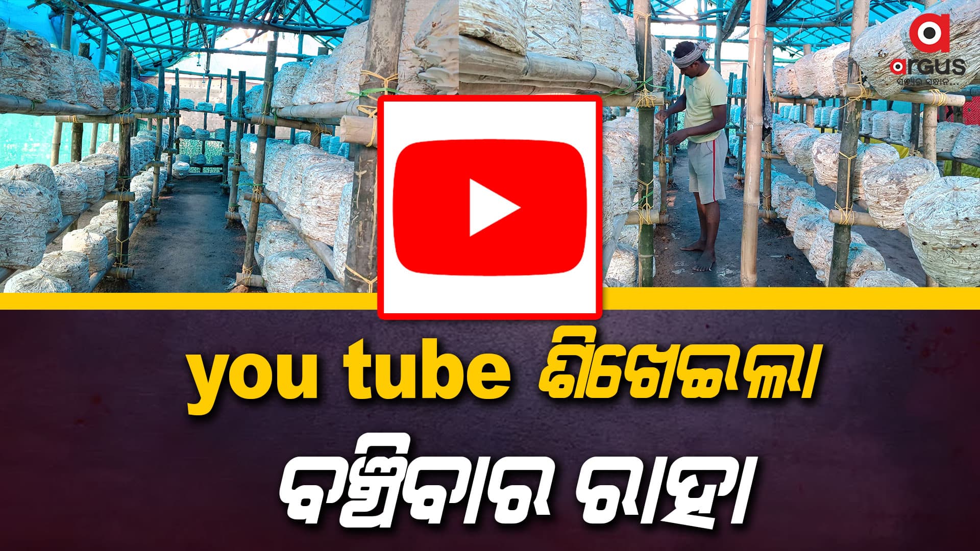 ଶ୍ରମିକରୁ ଚାଷୀ ବନିଥିବା ଜଣେ ସଫଳ ମଣିଷର ସତ କାହାଣୀ