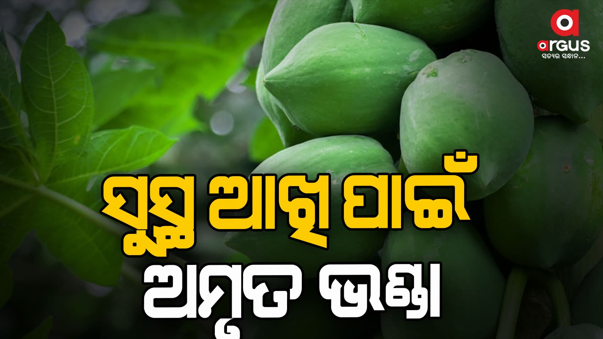 କଞ୍ଚା ଅମୃତ ଭଣ୍ଡାରେ ଭିଟାମିନ୍ ଏ, ସି ଏବଂ ଇ  ଭରପୂର ହୋଇ ରହିଛି