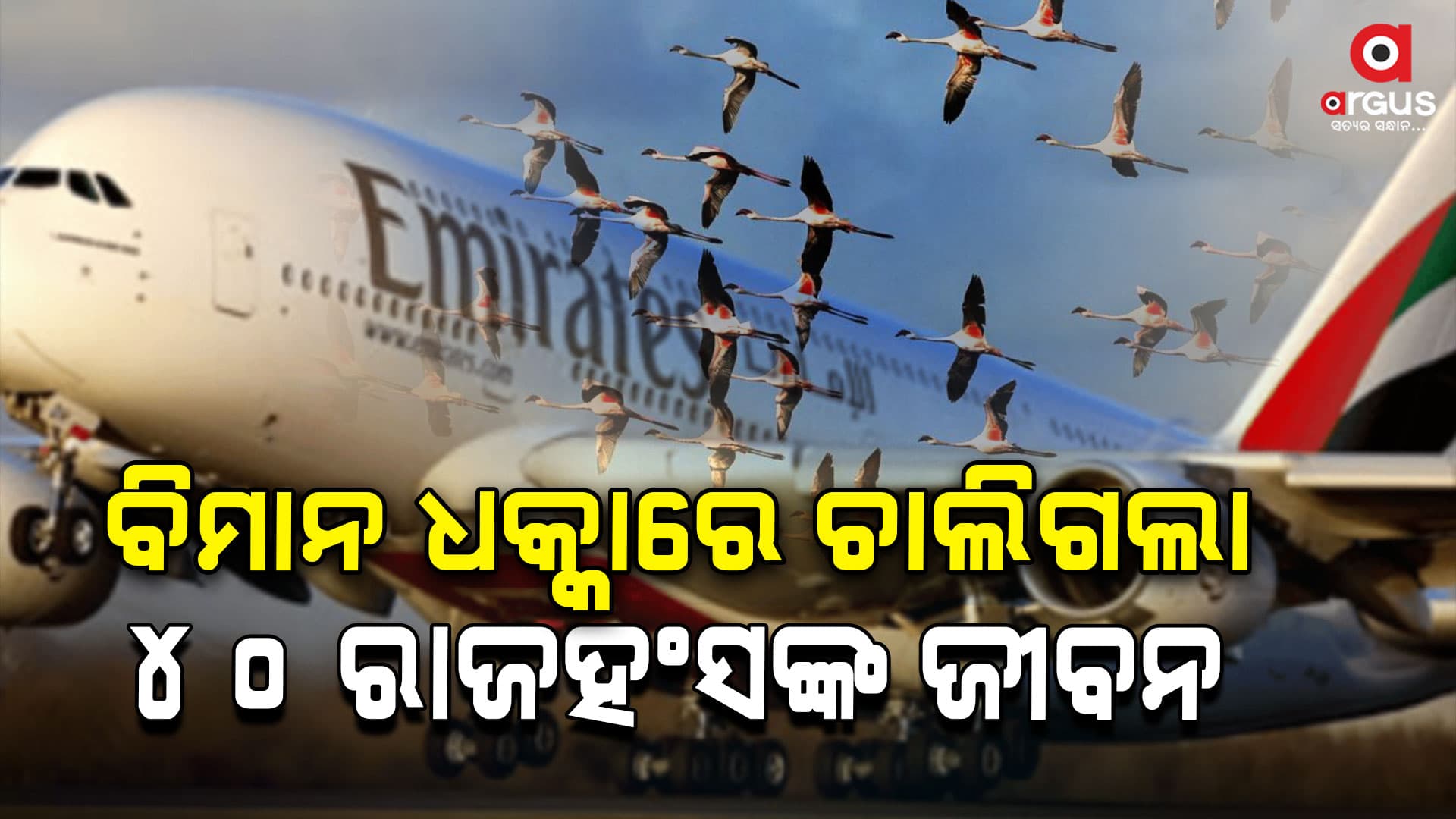 ମୁମ୍ବାଇର ପଣ୍ଟନାଗର ଅନ୍ତର୍ଗତ ଲକ୍ଷ୍ମୀ ନଗର ଅଞ୍ଚଳରେ ଘଟିଛି ଅଘଟଣ