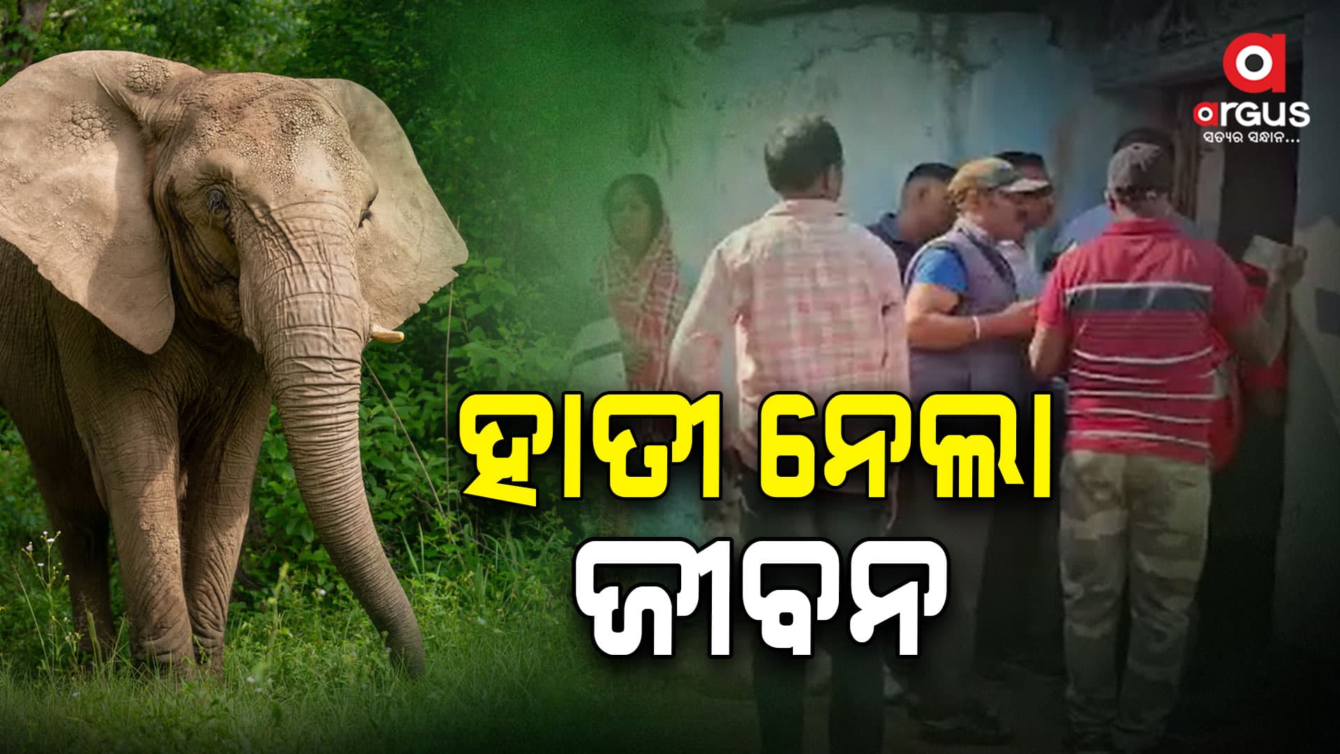 ଶୌଚ ପାଇଁ ଯାଇ ହାତୀ ଆକ୍ରମଣରେ ବୃଦ୍ଧଙ୍କ ମୃତ