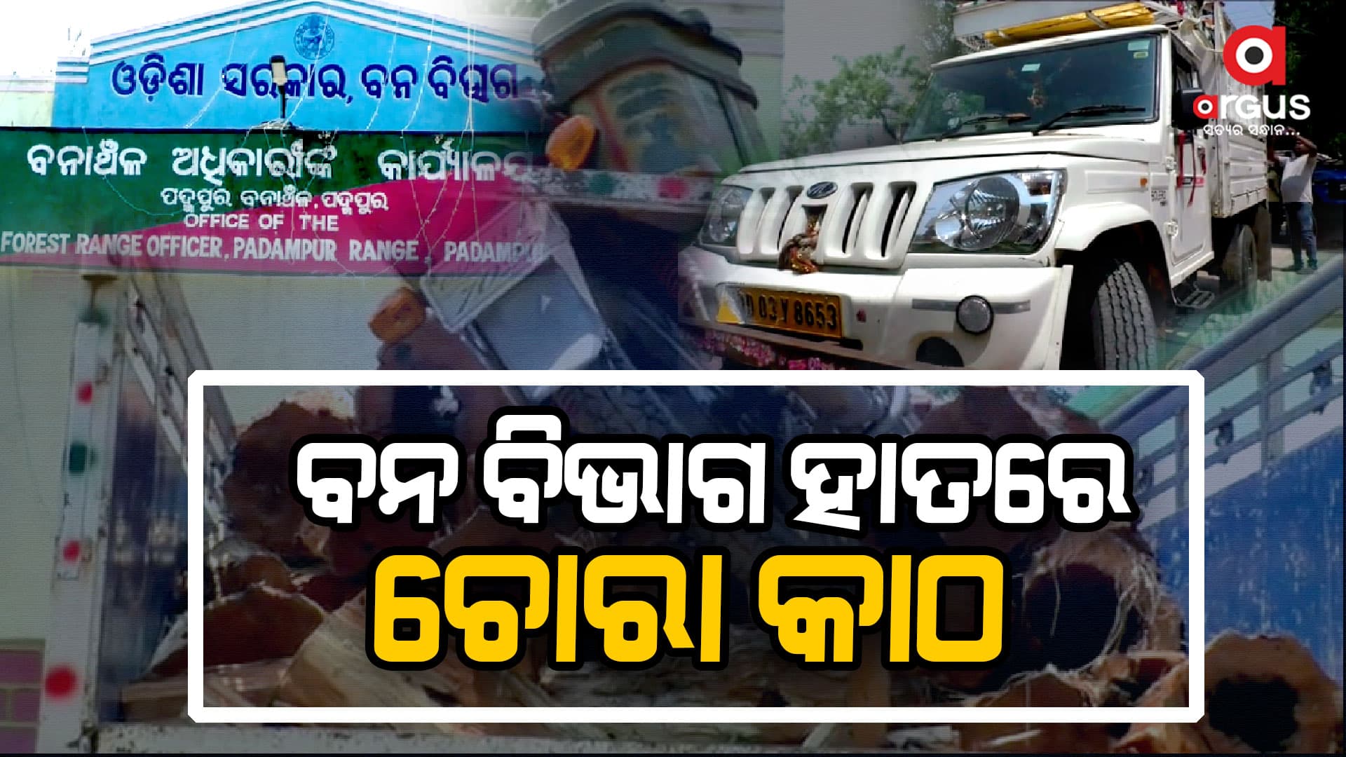 ଚୋରା କାଠ ସହ ଗୋଟିଏ ବାଇକ ବି ଜବତ କରିଛି ବନଭିଭାଗ