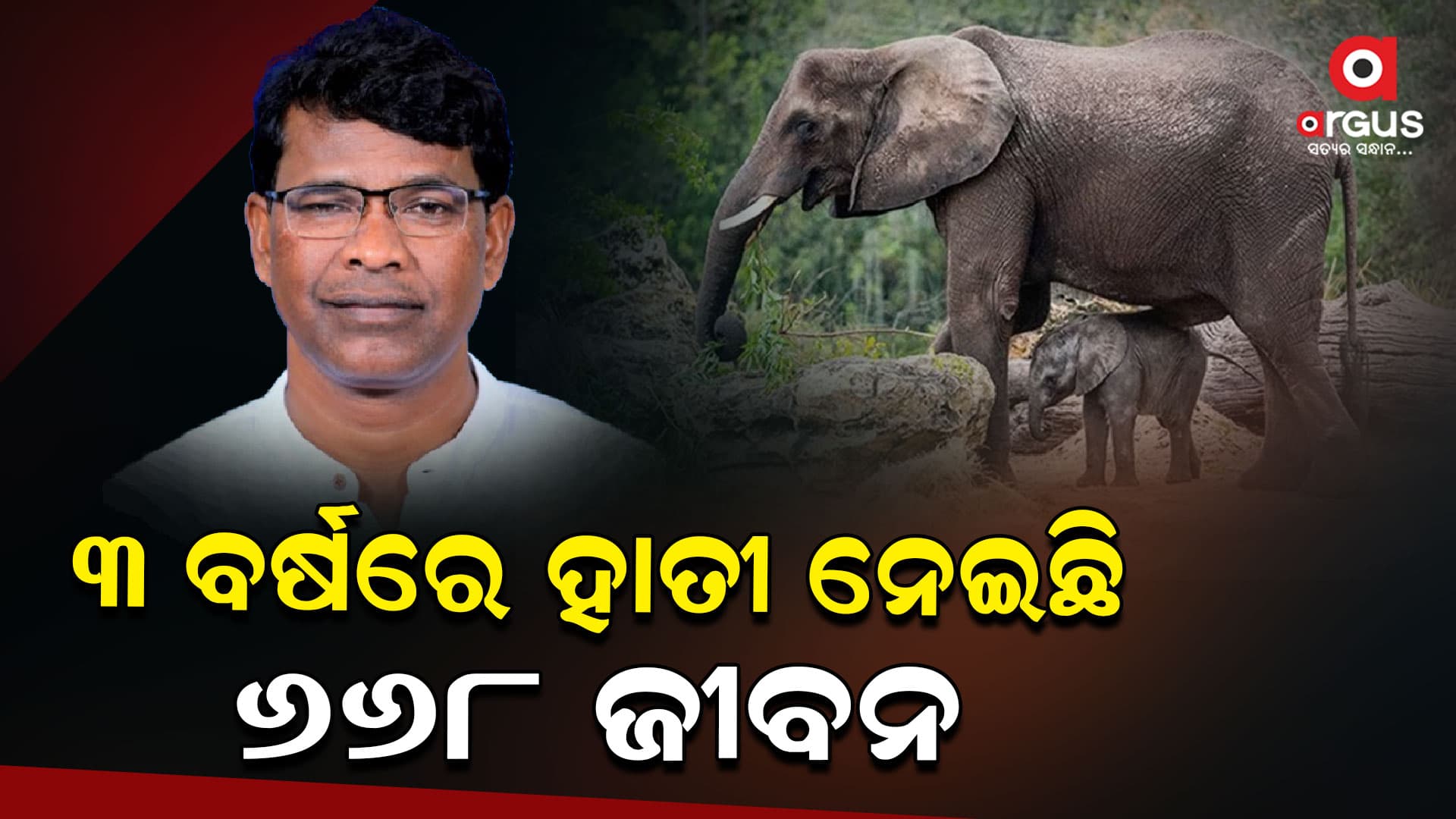 ରାଜ୍ୟରେ ବଢିଛି ହାତୀ ଉପଦ୍ରବ; ଜଙ୍ଗଲ ଓ ପରିବେଶ ମନ୍ତ୍ରୀ 