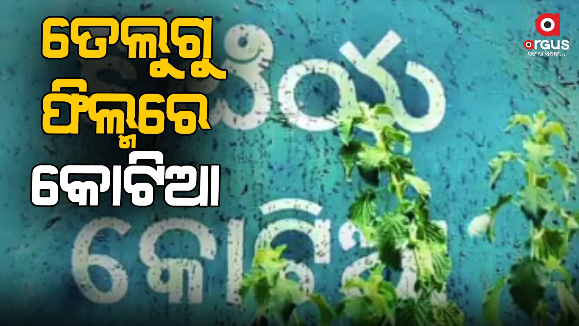 ଫିଲ୍ମରେ ଓଡିଶାର ଅସ୍ତିତ୍ୱ ସମ୍ପୂର୍ଣ୍ଣ ଗୌଣ